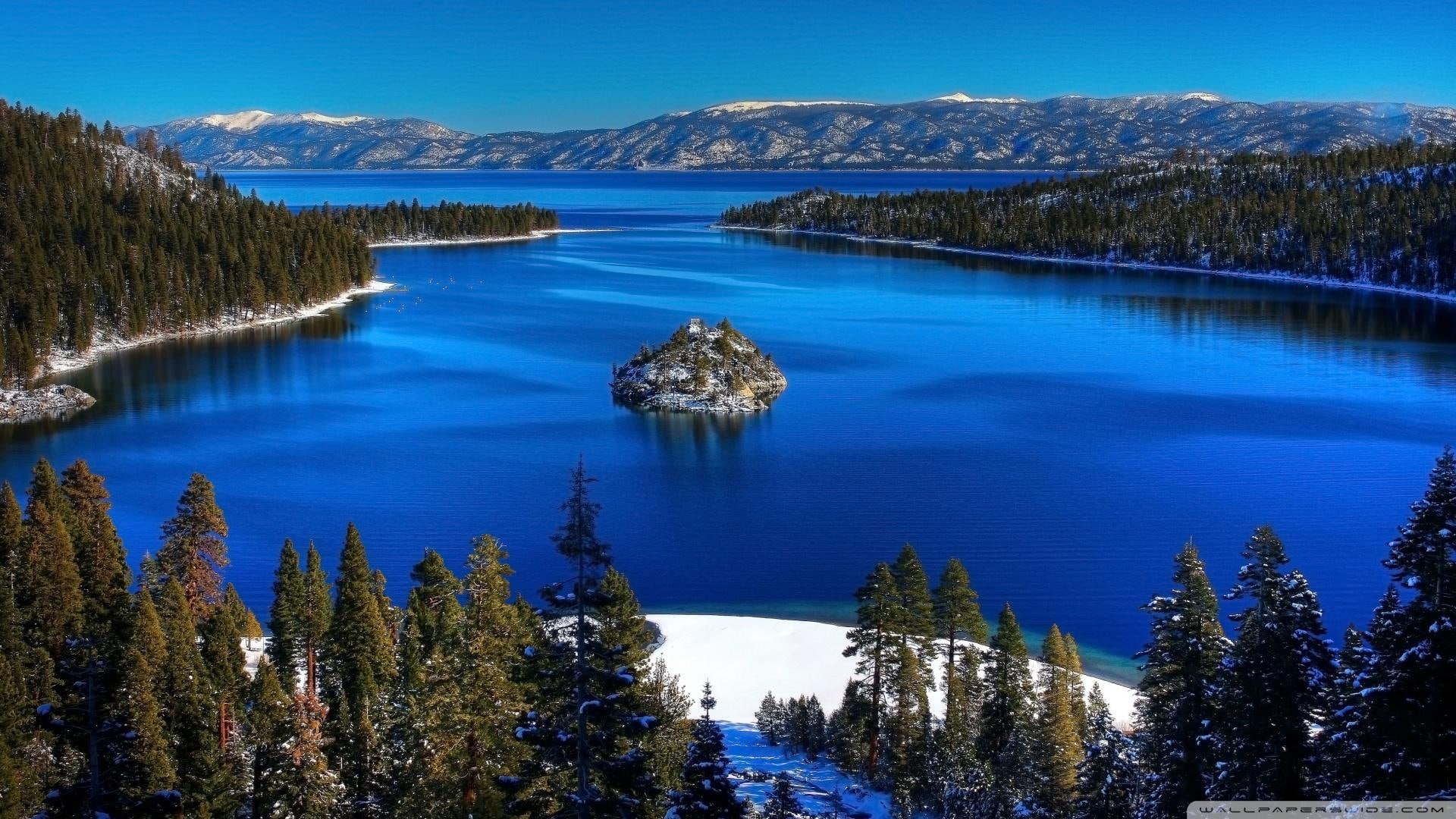 emerald, island, fantastic, nature and landscapes, forest, winter, bay, 1080P, HD Wallpaper