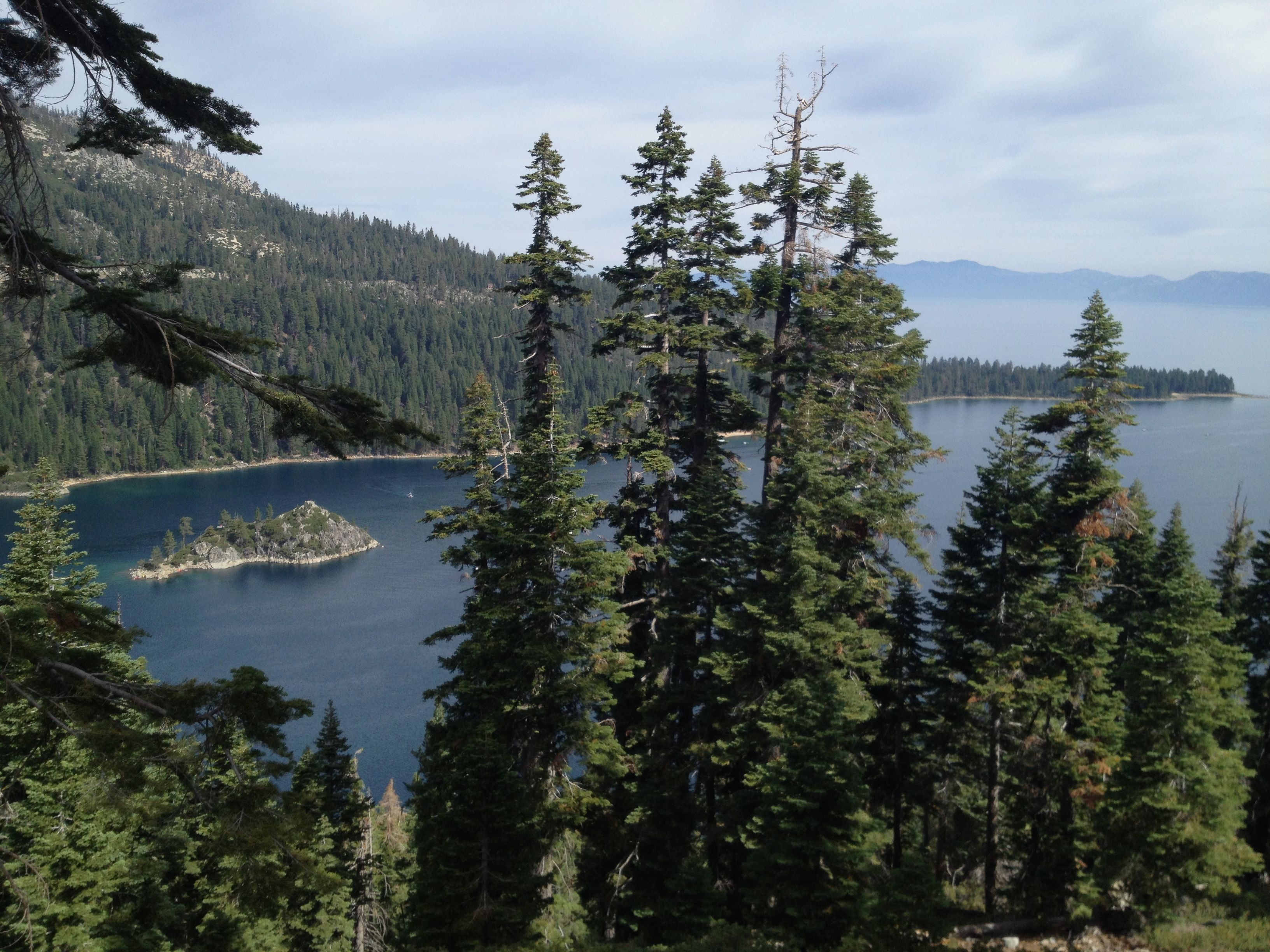 scenics, trees, nature, scenics - nature, blue, scene, coniferous tree, non-urban scene, vacation, mountain, evergreen tree, growth, view, tree, day, destination, HD Wallpaper