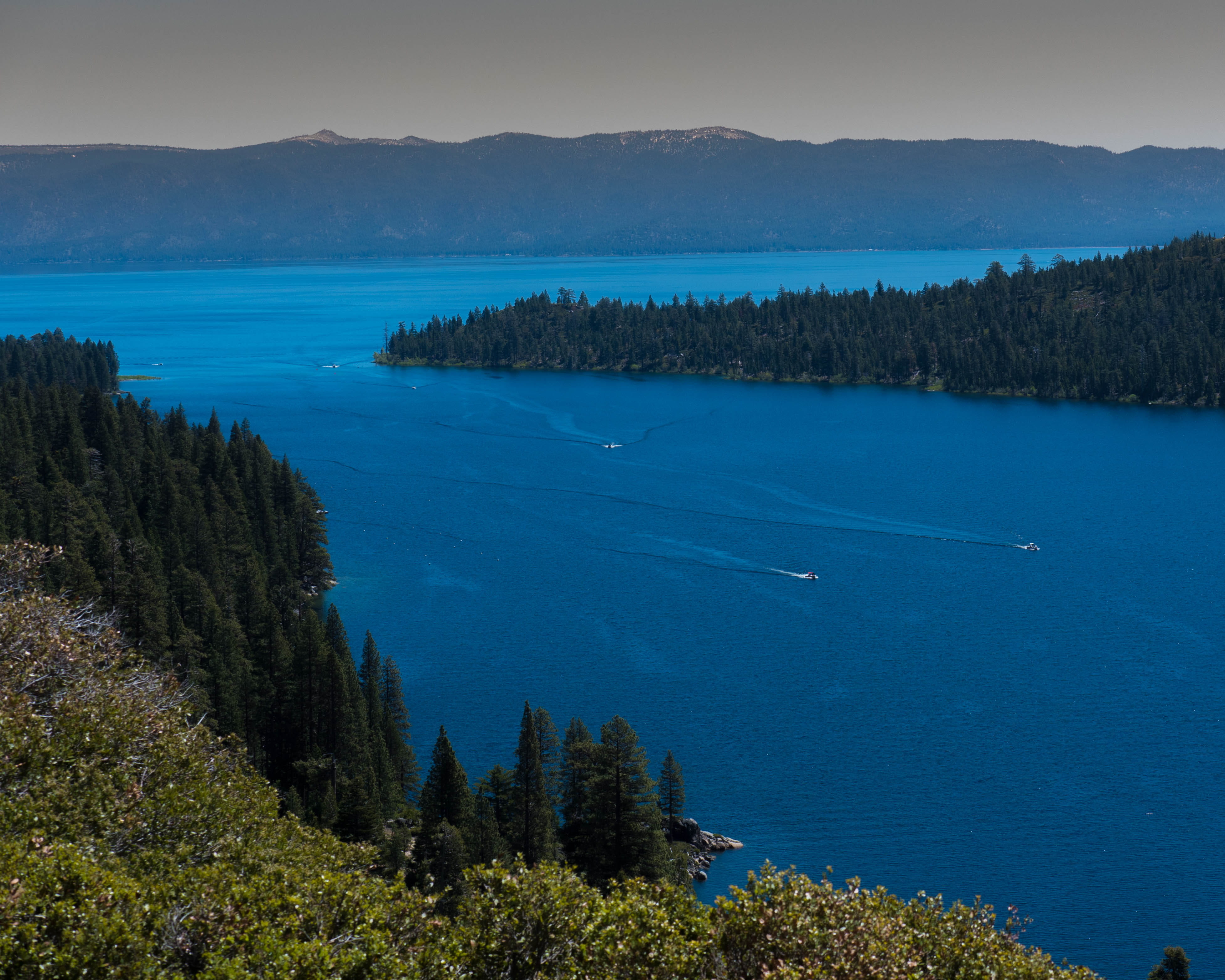 forest, lake tahoe, day, blue, mountain, beauty in nature, nature, outdoors, tranquility, water, idyllic, emerald bay, no people, coniferous tree, tree, HD Wallpaper