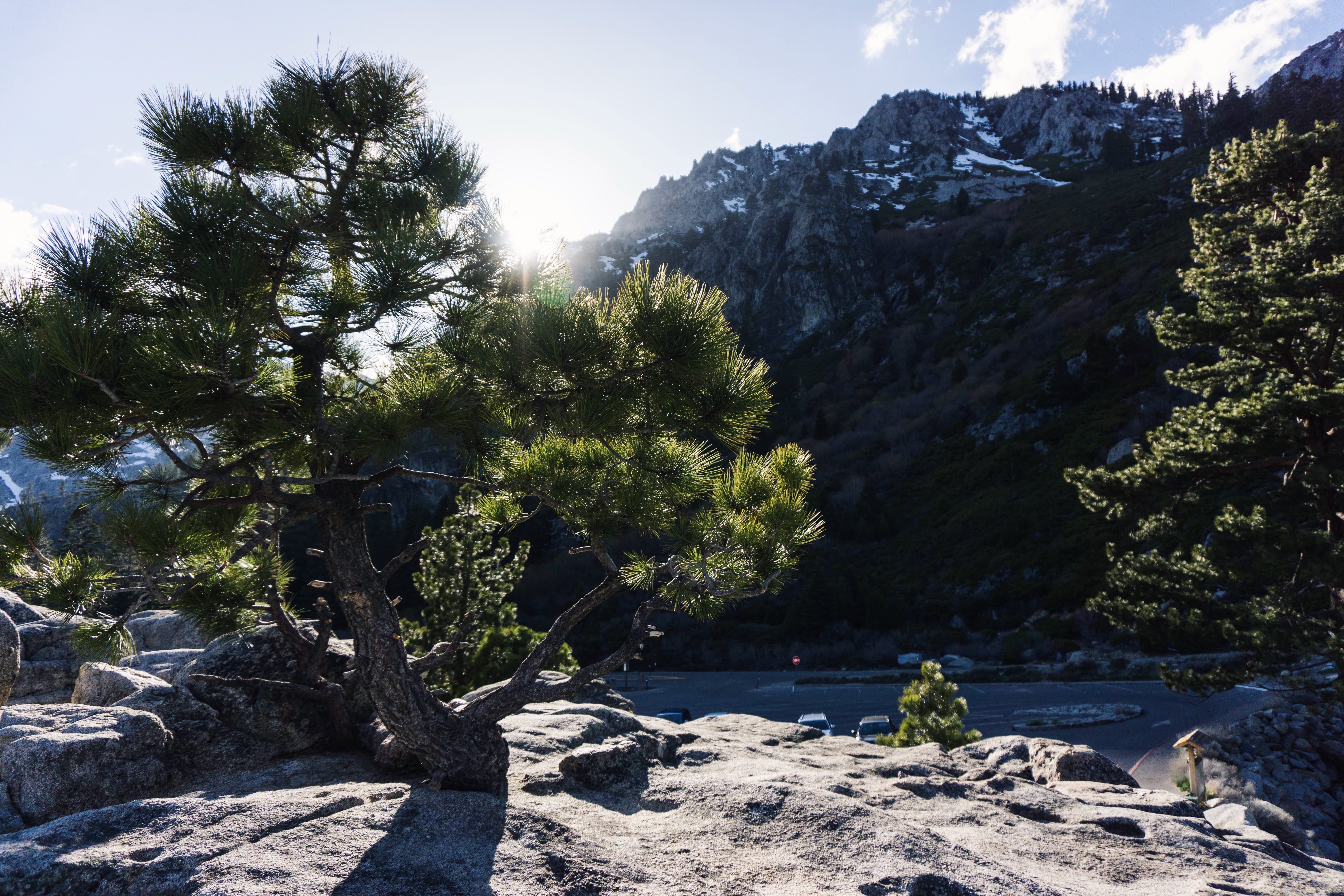 outdoors, growth, united states, sunlight, mountain, south lake tahoe, rock, beauty in nature, emerald bay state park, solid, plant, non-urban scene, tree, HD Wallpaper