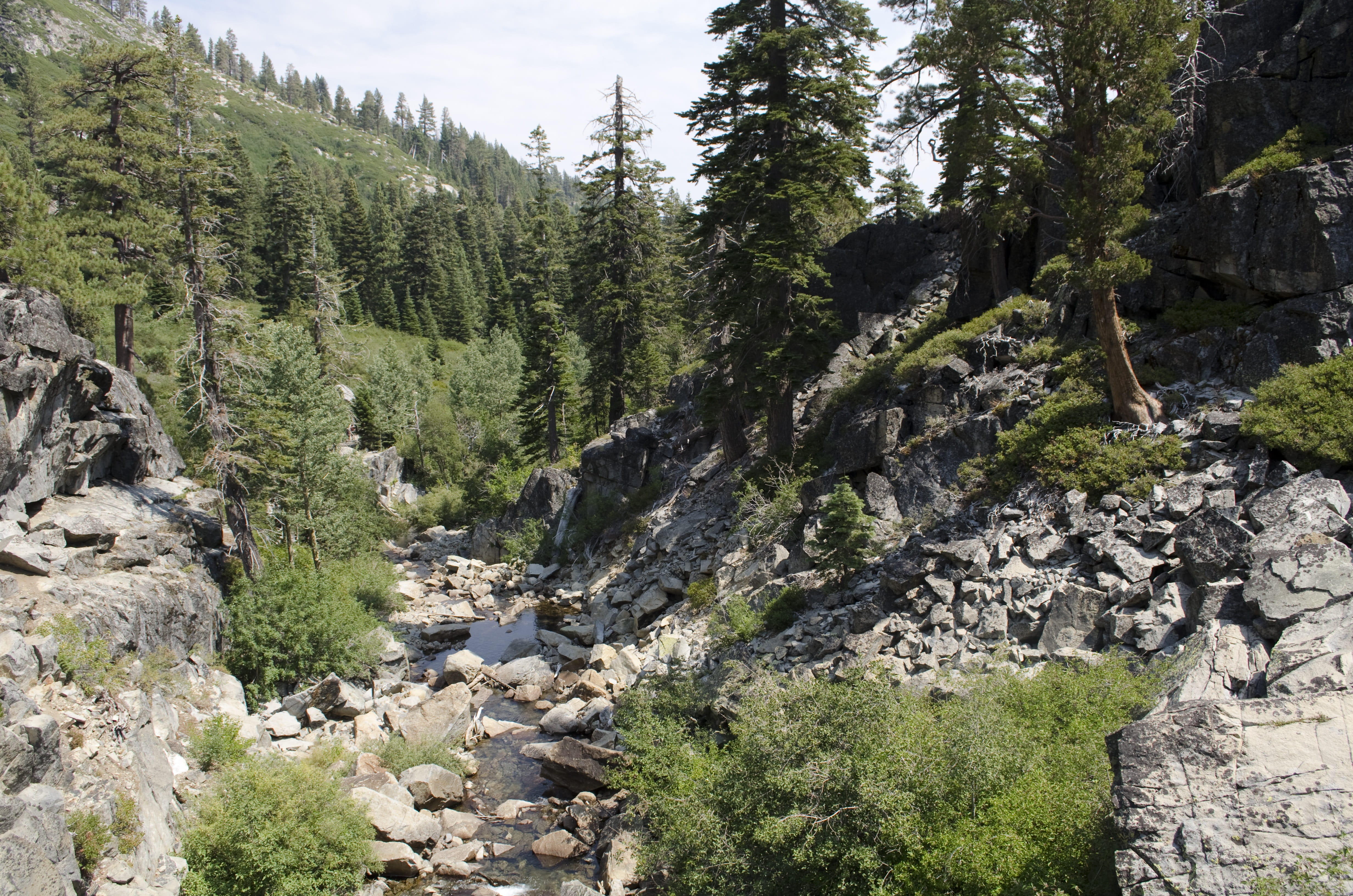 tahoe, coniferous tree, non-urban scene, wilderness, mountain, rock - object, flowing water, hike, pine, travel, scenics - nature, outdoors, lake, green color, HD Wallpaper