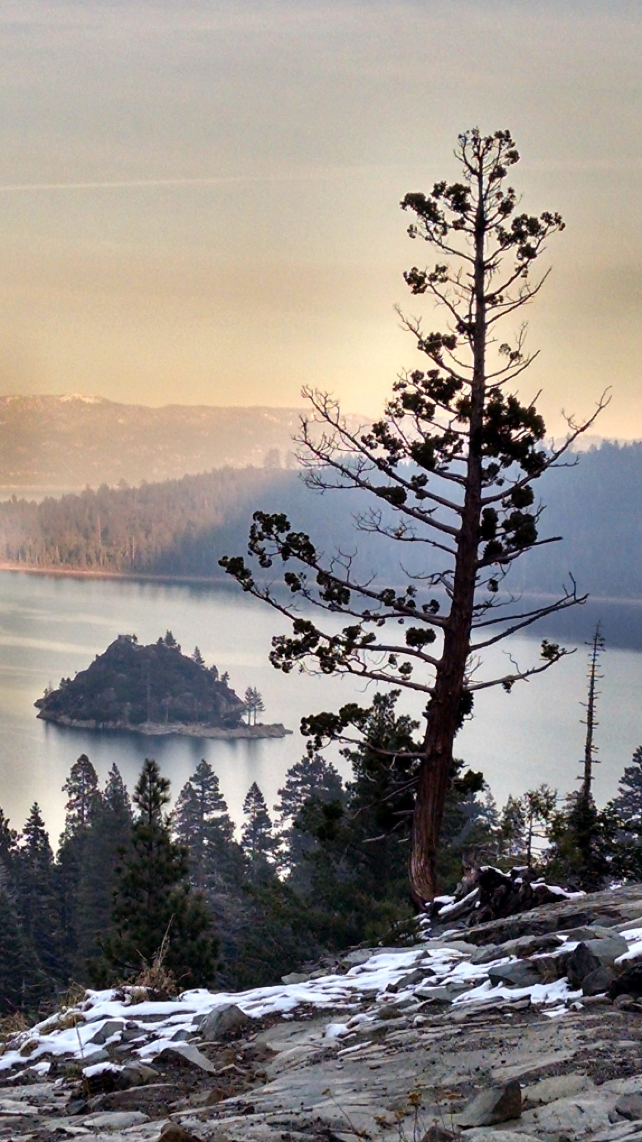 bay, nature, plant, winter, fog, green, tree, vacation, non-urban scene, sunset, summer, travel, snow, america, tranquility, lake, california, nevada, forest, Phone HD Wallpaper