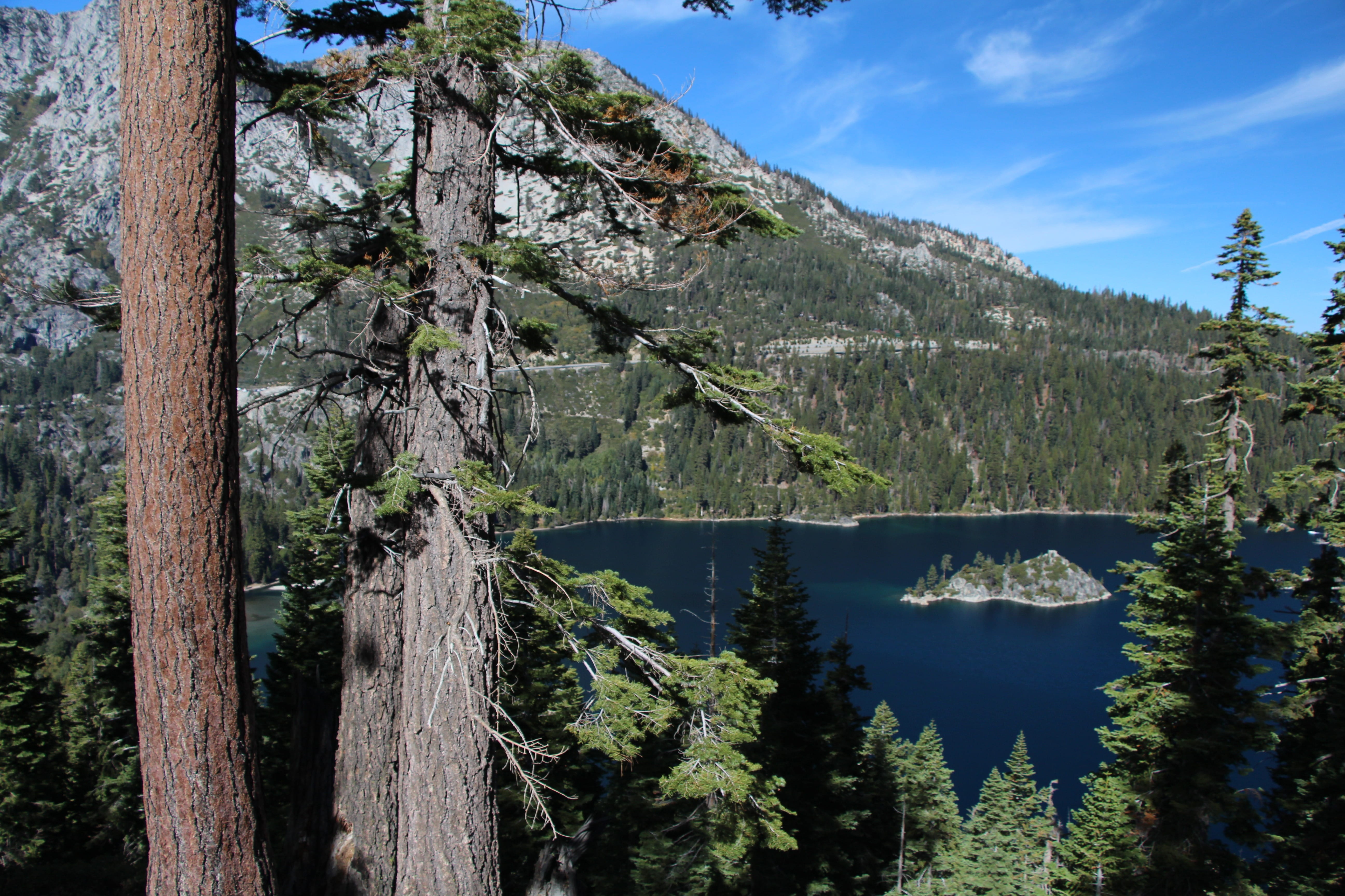 forest, green color, non-urban scene, outdoors, Lake Tahoe, 5K, scenics - nature, tree, tranquil scene, Emerald Bay, wilderness, Water, scenic, mountain, HD Wallpaper