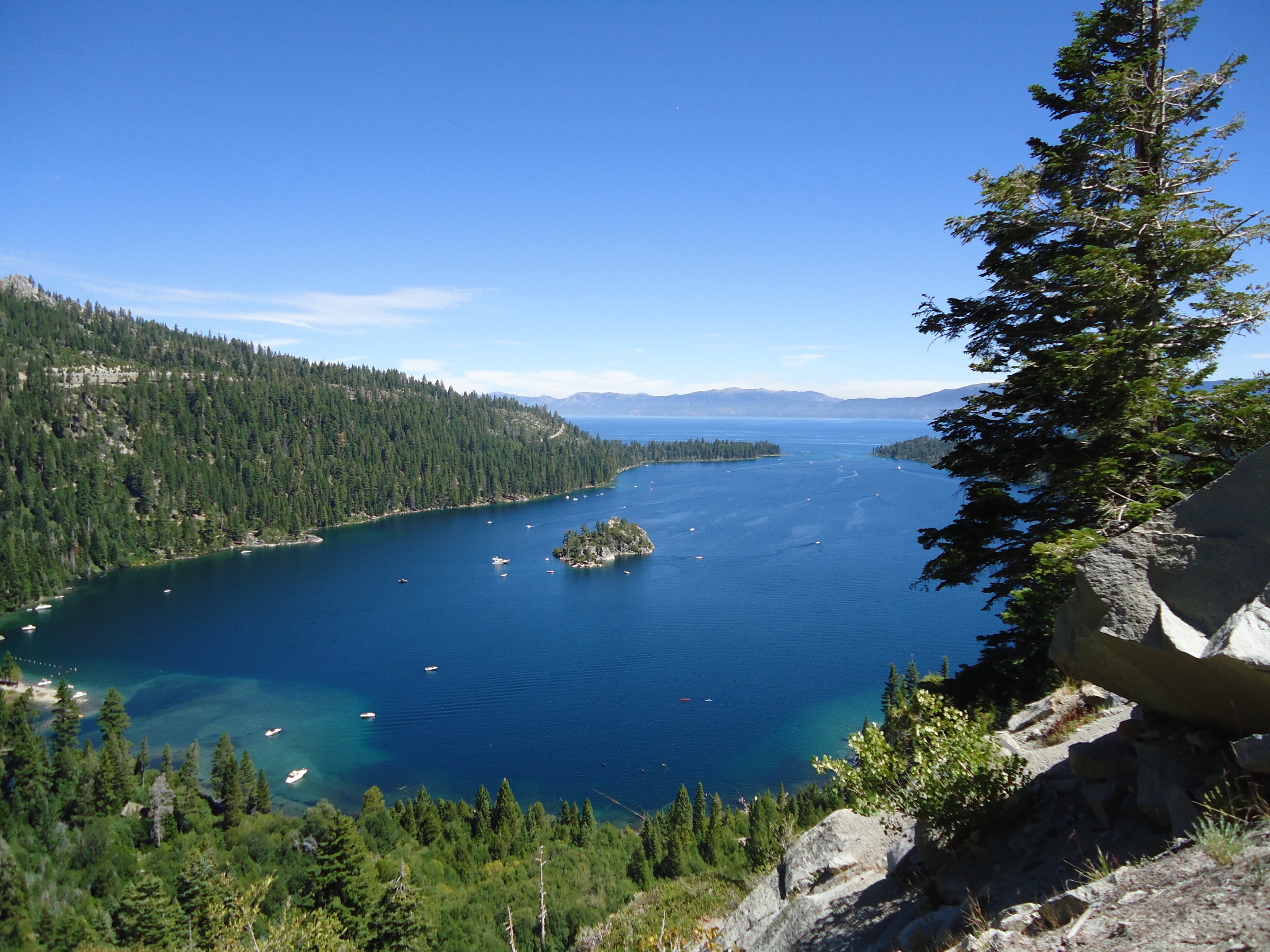 calming, view, idyllic, tree, day, tranquility, no people, nature, non-urban scene, trees, sky, photography, emerald bay, tranquil scene, plant, california, HD Wallpaper