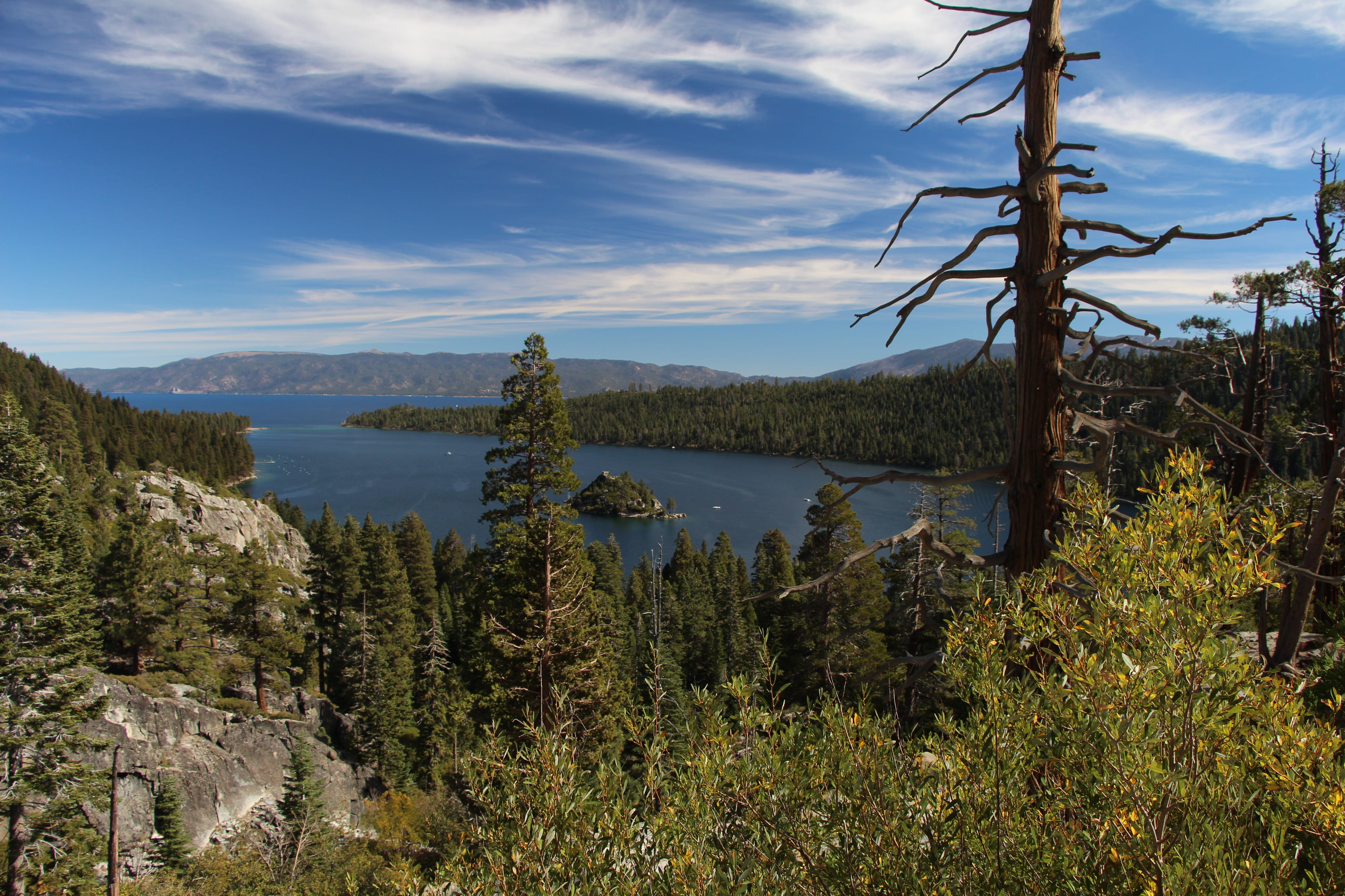 Water, cloudscape, summer, forest, nature, scenery, land, blue, green Color, scenic, remote, day, Lake Tahoe, plant, 5K, tranquility, tranquil Scene, tree, HD Wallpaper