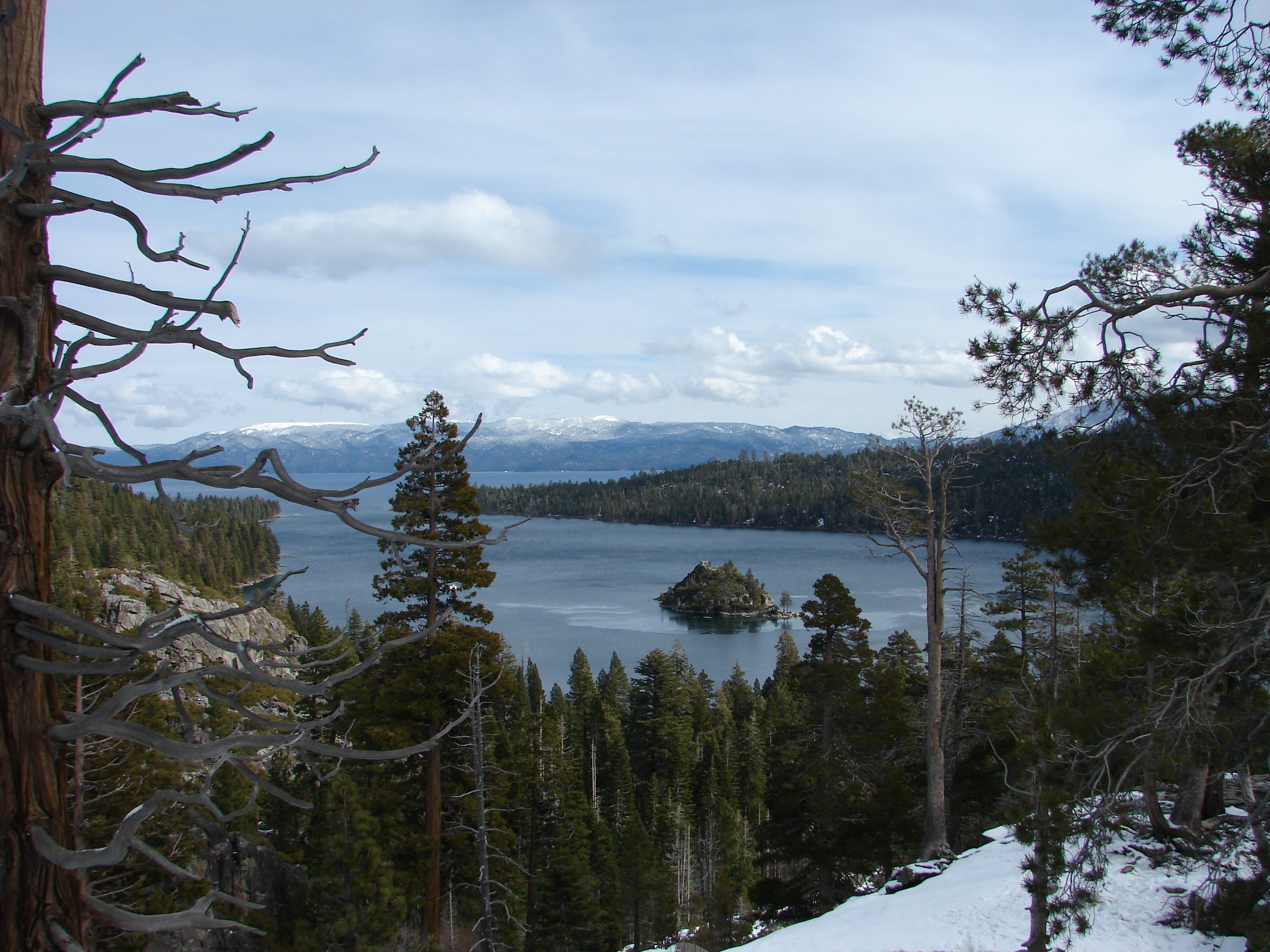plant, tranquil scene, pine, growth, trees, cloud - sky, beautiful, peaceful, romantic, no people, forest, lake, usa, sky, snowcapped mountain, tranquility, HD Wallpaper