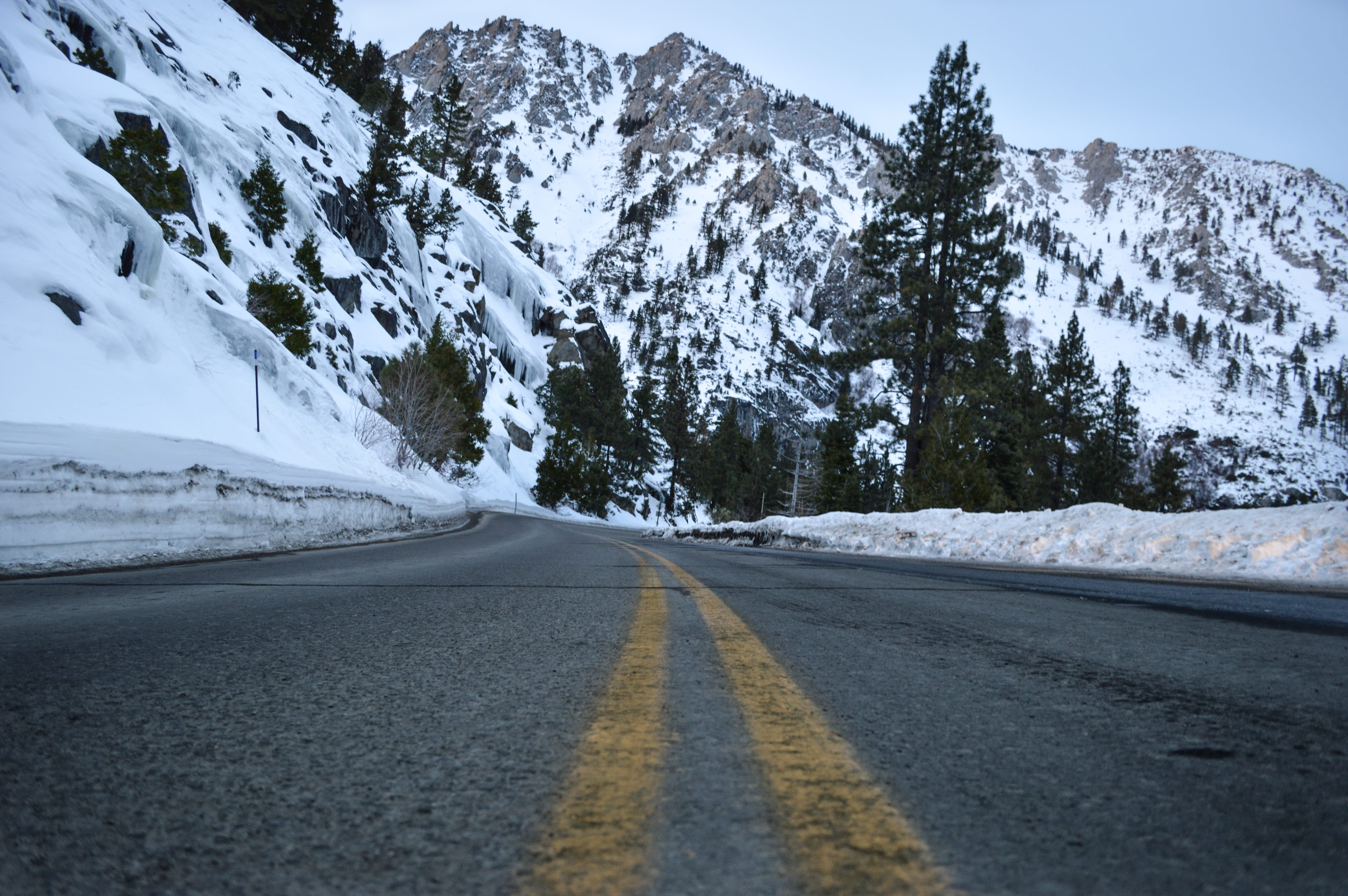 nature, sign, tahoe, dividing line, beautiful, driving, california, snow, snowcapped mountain, mountain range, transportation, cold temperature, trees, HD Wallpaper
