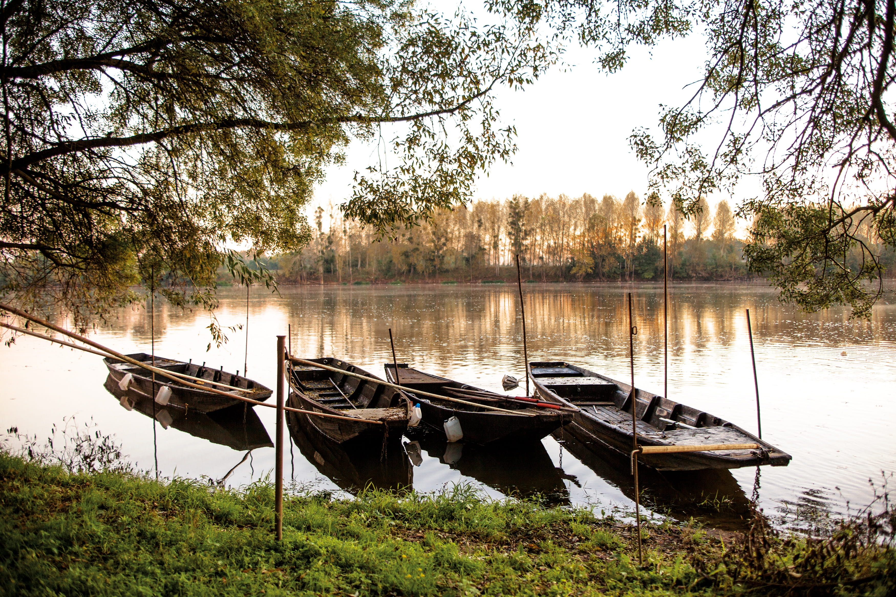 growth, reflection, day, mode of transportation, lake, nature, tree, tranquil scene, nautical vessel, scenics - nature, plant, france, no people, moored, HD Wallpaper