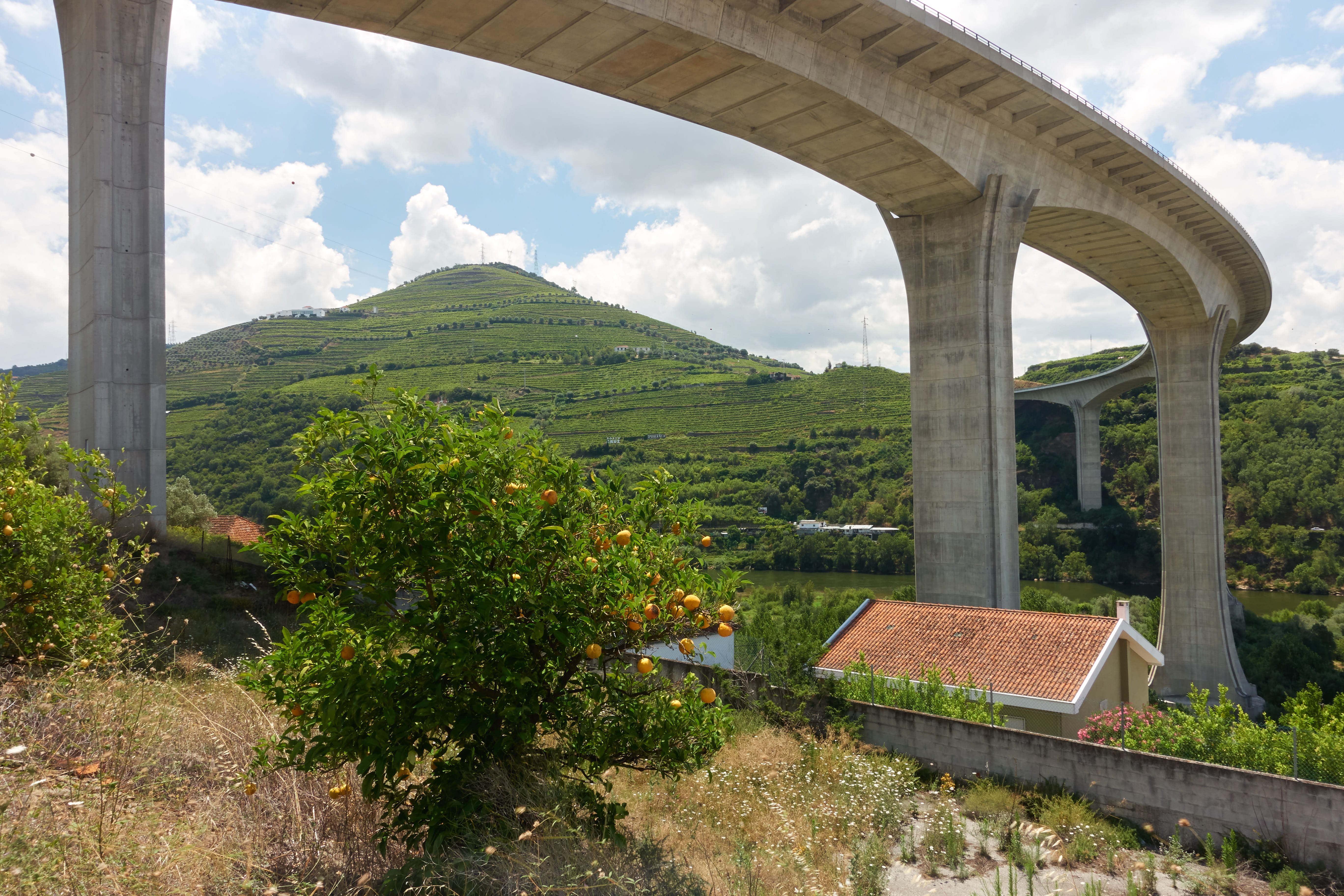 environment, built structure, bridge, no people, plant, nature, road, architecture, day, growth, sky, regua, tree, wine, tranquil scene, architectural column, HD Wallpaper