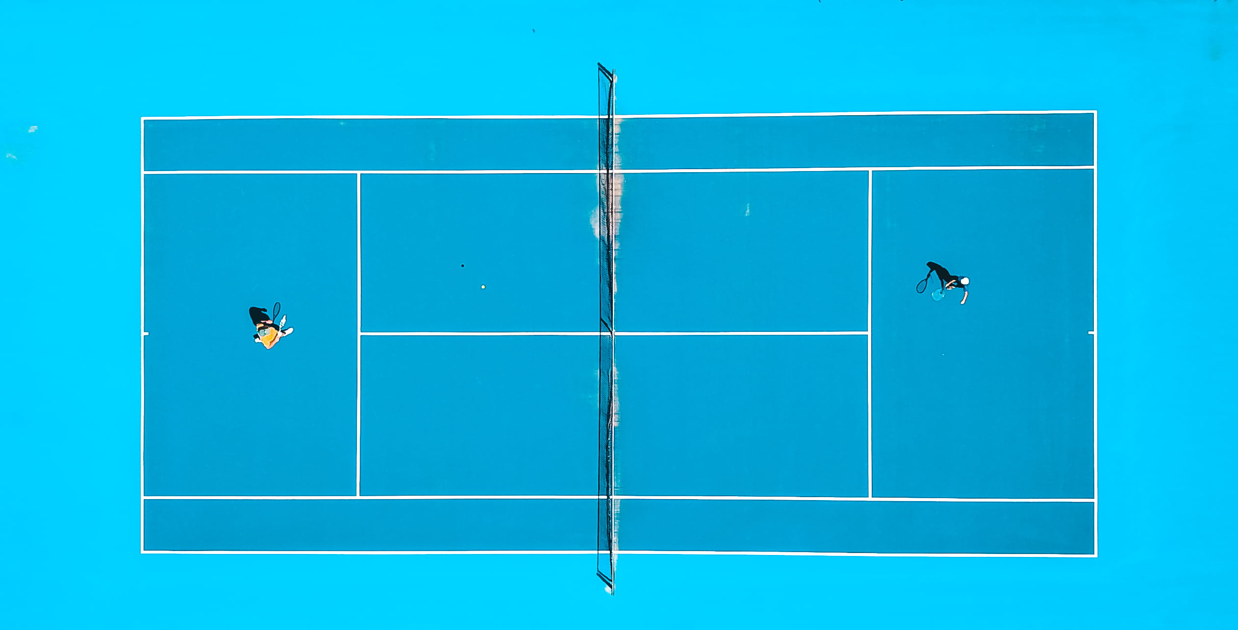 day, sky, adult, blue, person, sport, studio shot, playing, 1080P, photography, directly above, bird, men, nature, aerial, tennis, eye, communication, HD Wallpaper