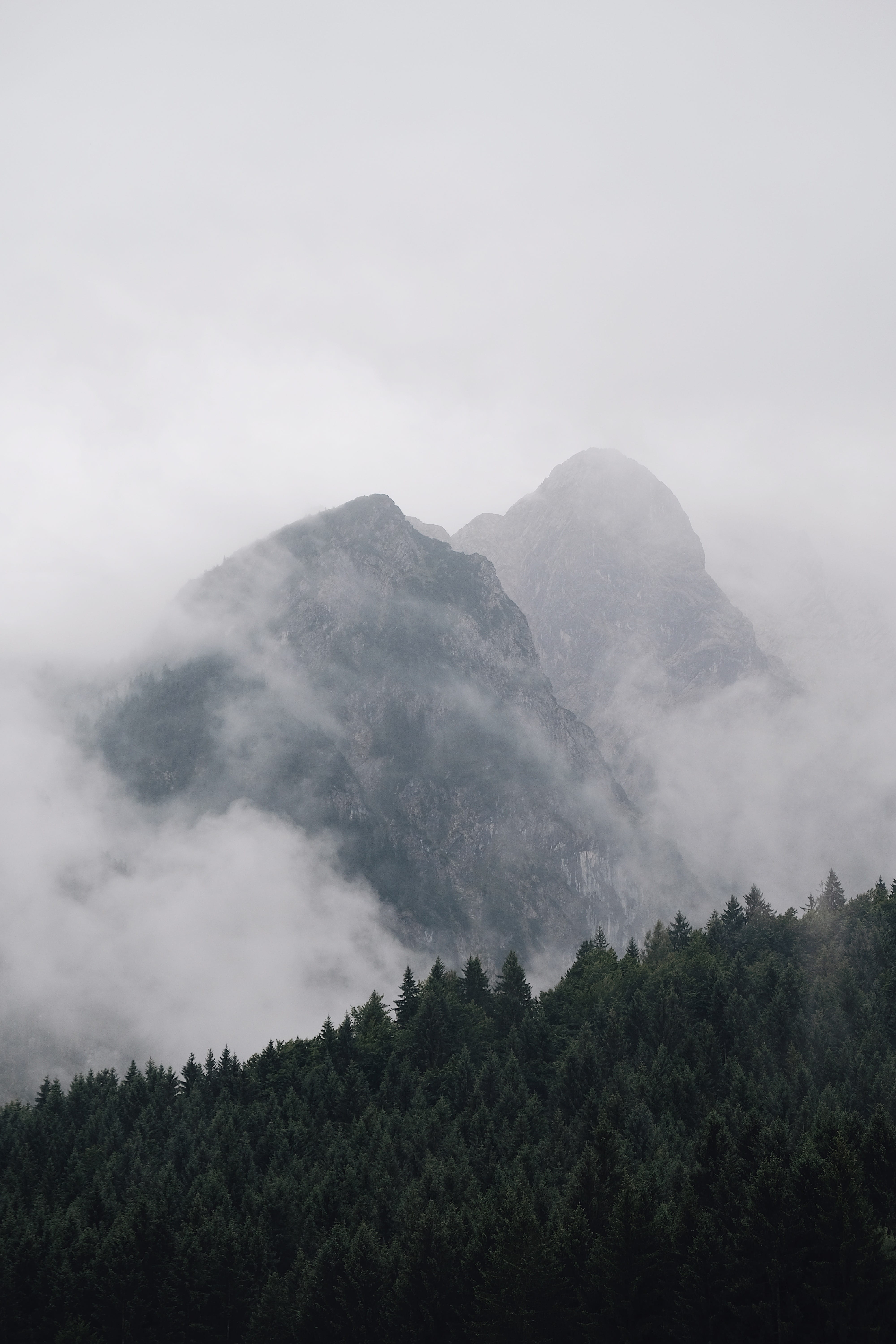 green, forest, growth, clouds, hd, mountain, beauty in nature, white, iphone, covered, peak, sky, no people, mountain peak, Phone HD Wallpaper