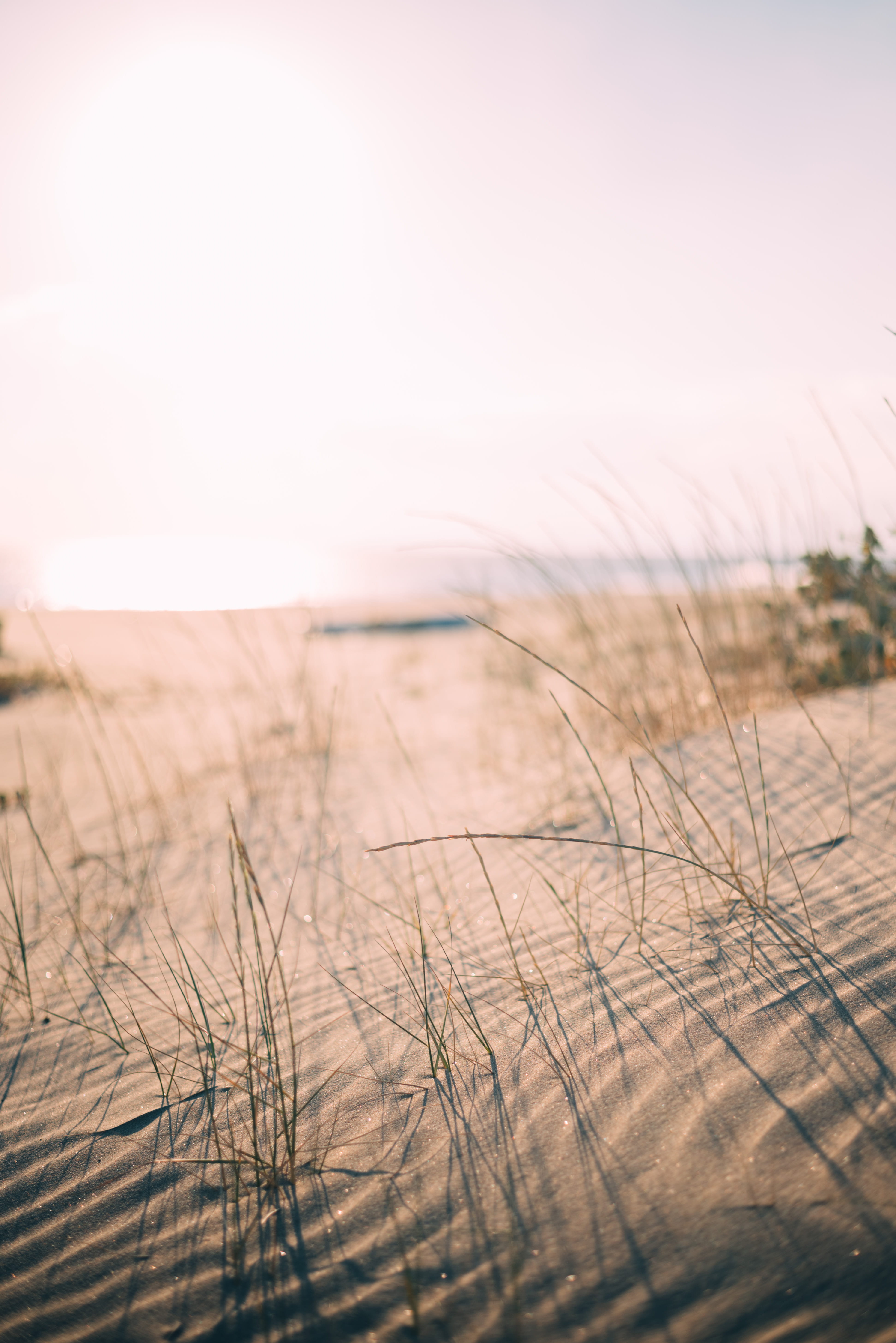 outdoors, non-urban scene, natura, plant, grass, beauty, tranquil scene, sand, tranquility, iphone backgrounds, growth, nature, untitled, no people, sky, Phone HD Wallpaper