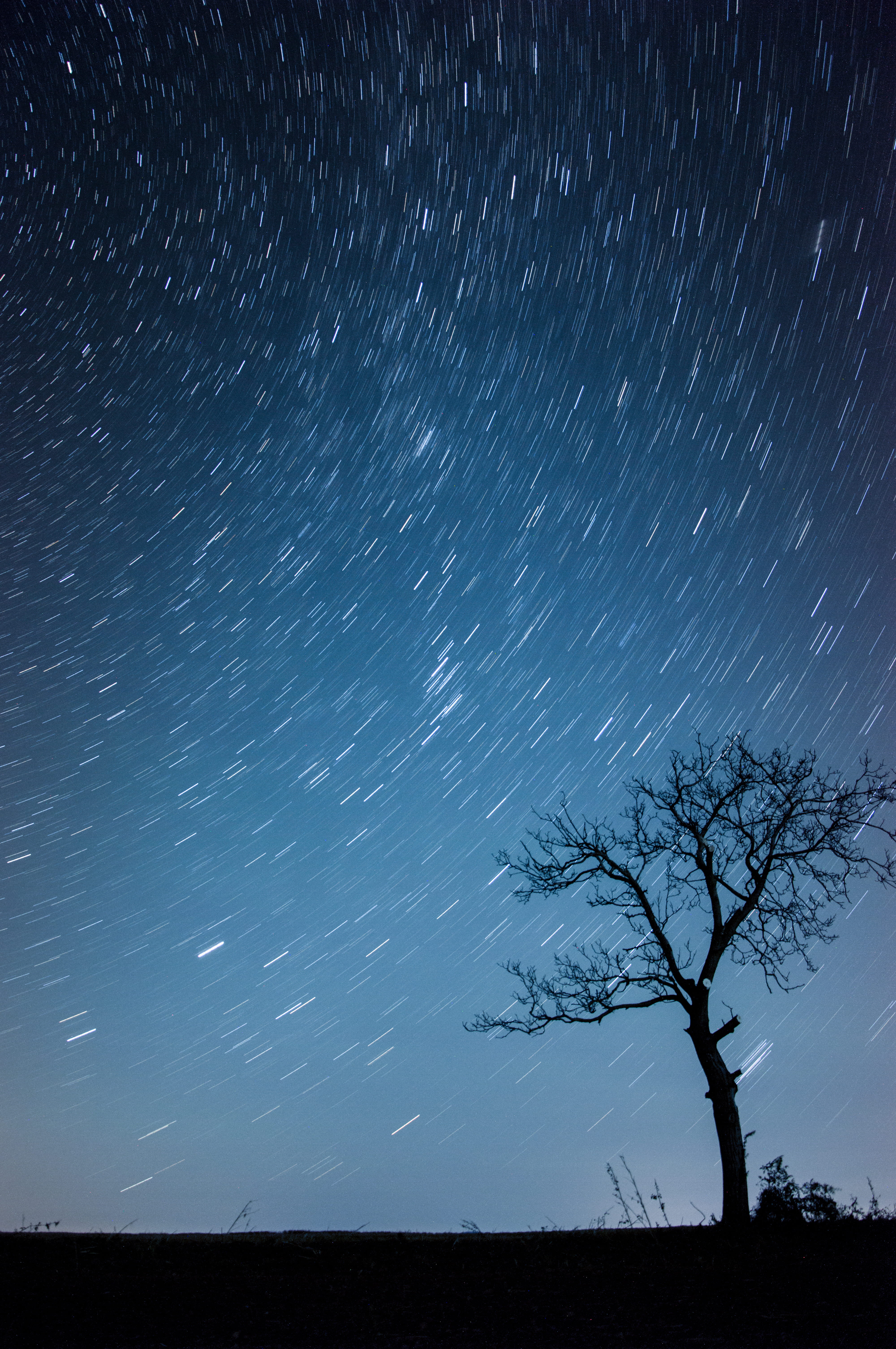 silhouette, cloud, space and astronomy, field, heaven, star - space, 5K, astronomy, tree, space, tranquility, photo, long exposure, night sky, land, no people, Phone HD Wallpaper