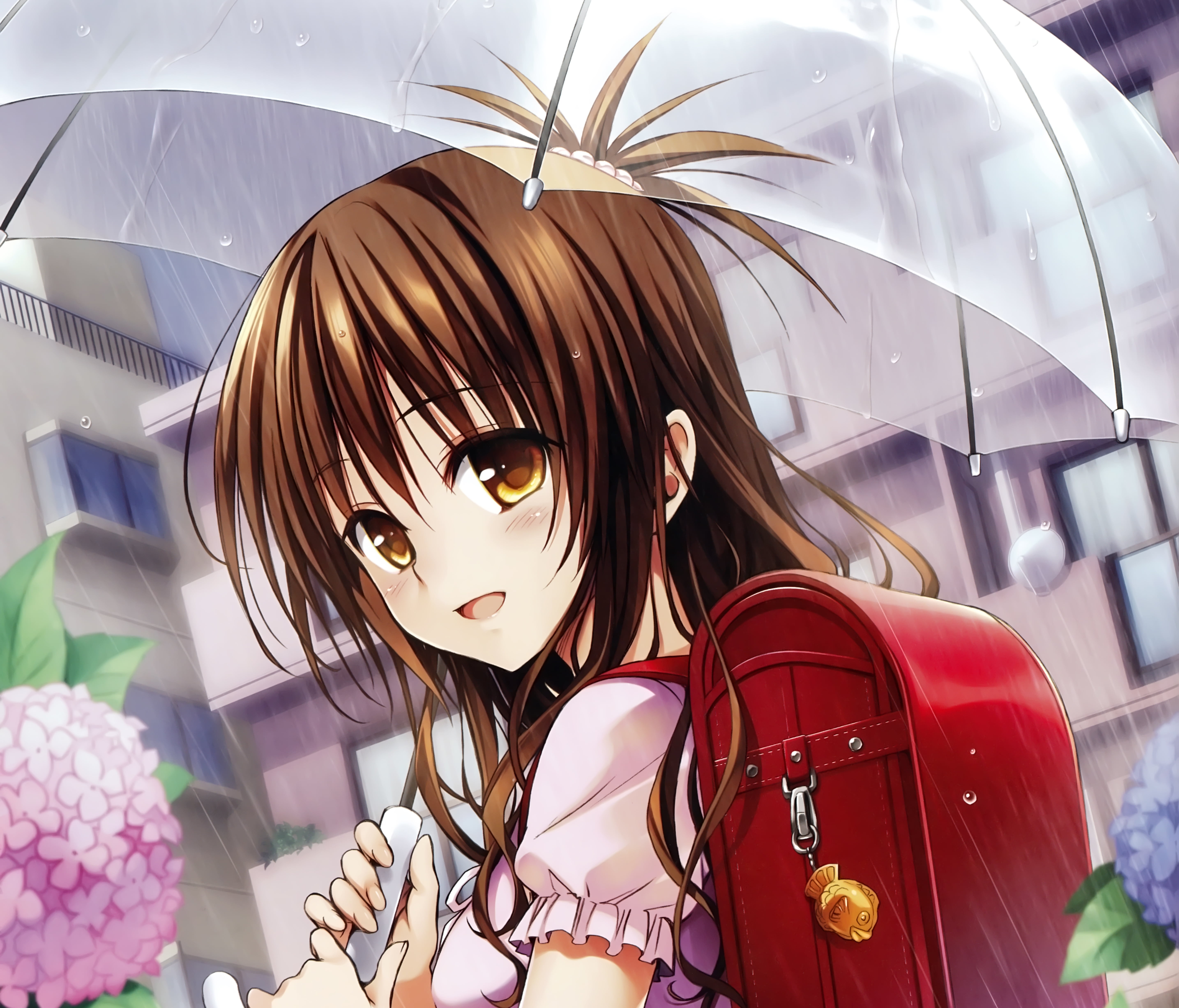 Anime, 5K, To Love-Ru: Darkness, Mikan Yuuki, HD Wallpaper