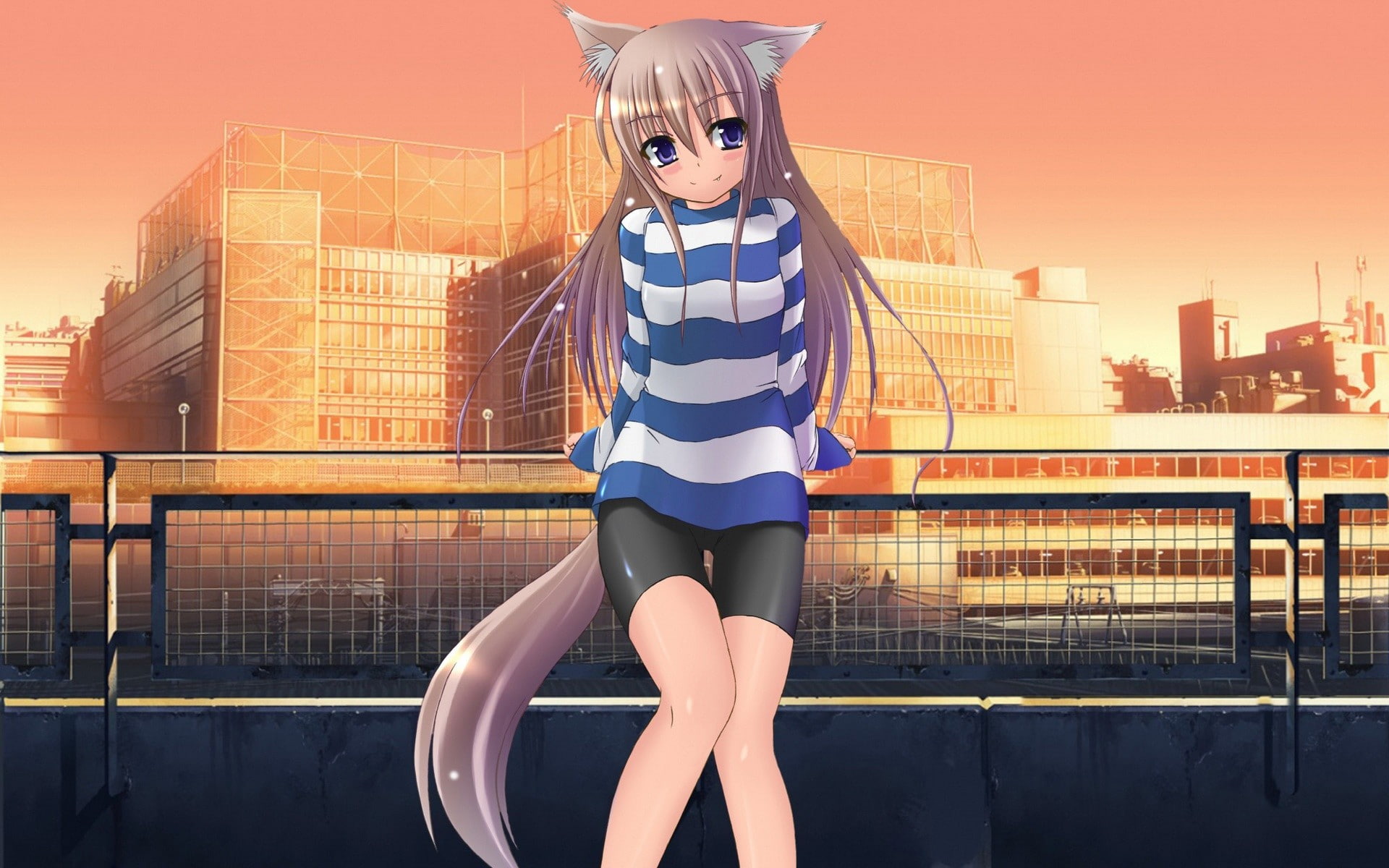 inumimi, 1080P, original characters, anime, anime girls, HD Wallpaper