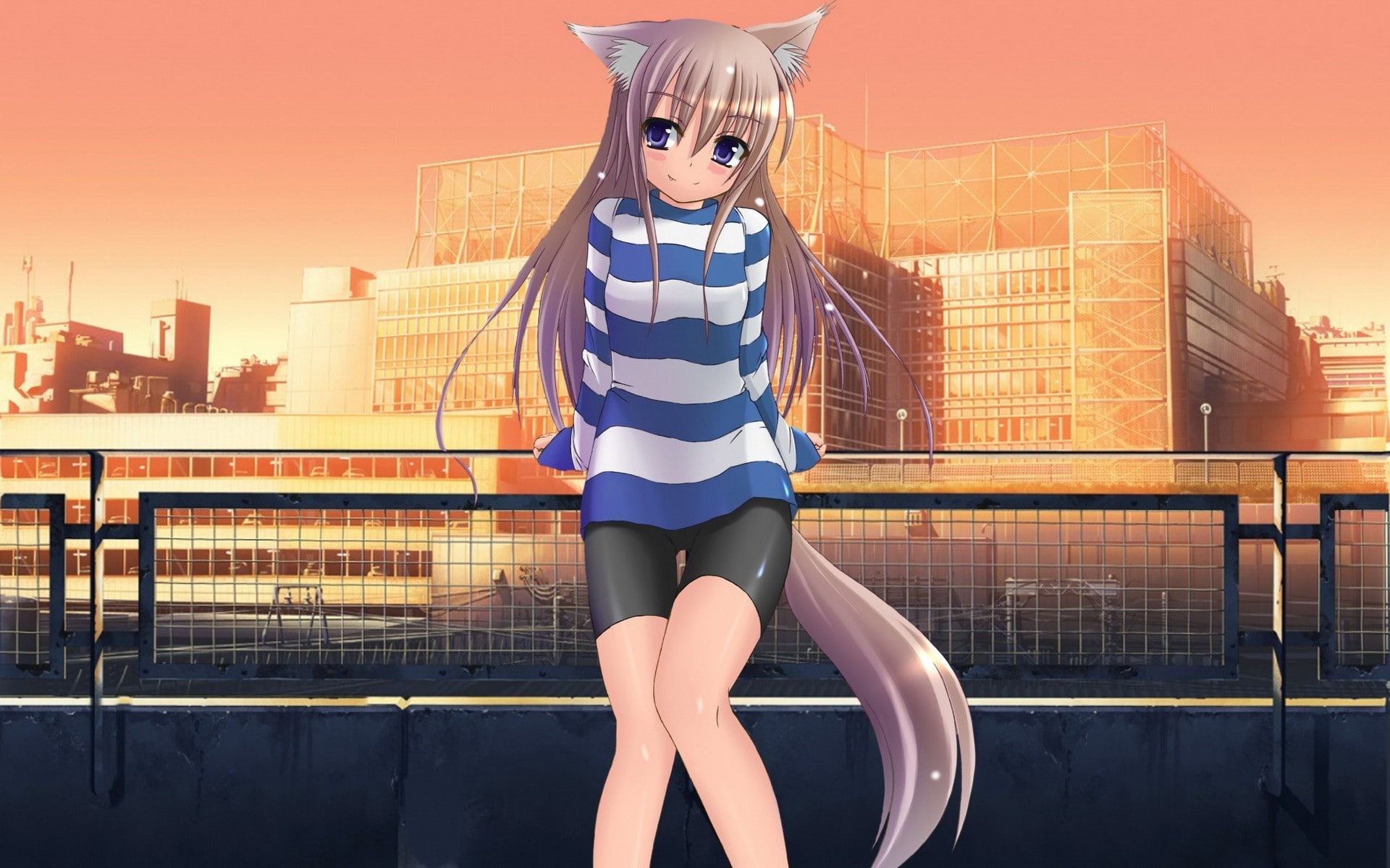 standing, adult, Original Characters, sky, obscured face, architecture, nature, railing, building exterior, illuminated, built structure, Inumimi, Anime Girls, HD Wallpaper