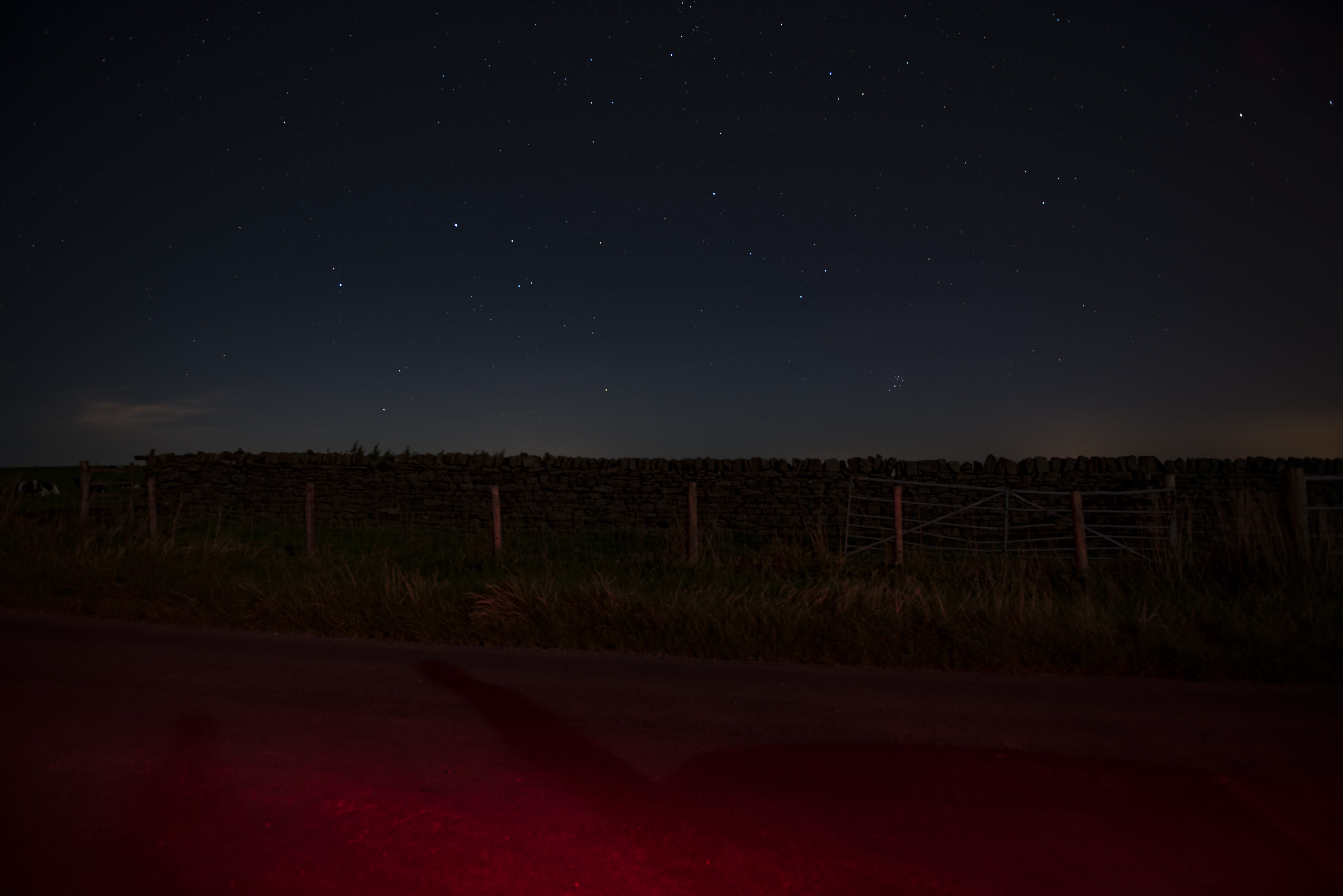 scenics - nature, field, environment, grass, dark, tranquility, night, no people, outdoors, star field, gray, plant, untitled, space, silhouette, nature, HD Wallpaper
