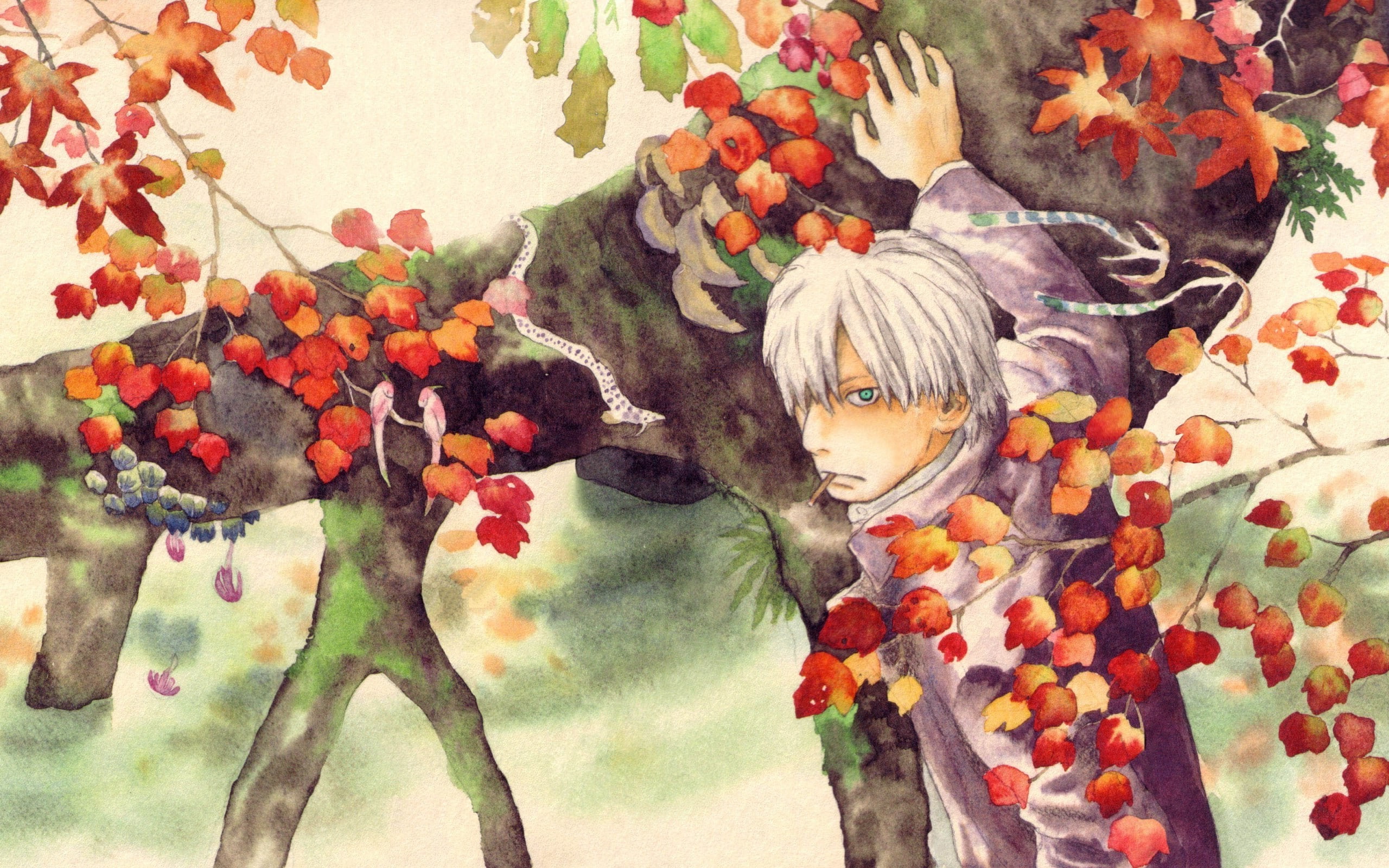 Mushishi, anime, 2K, HD Wallpaper