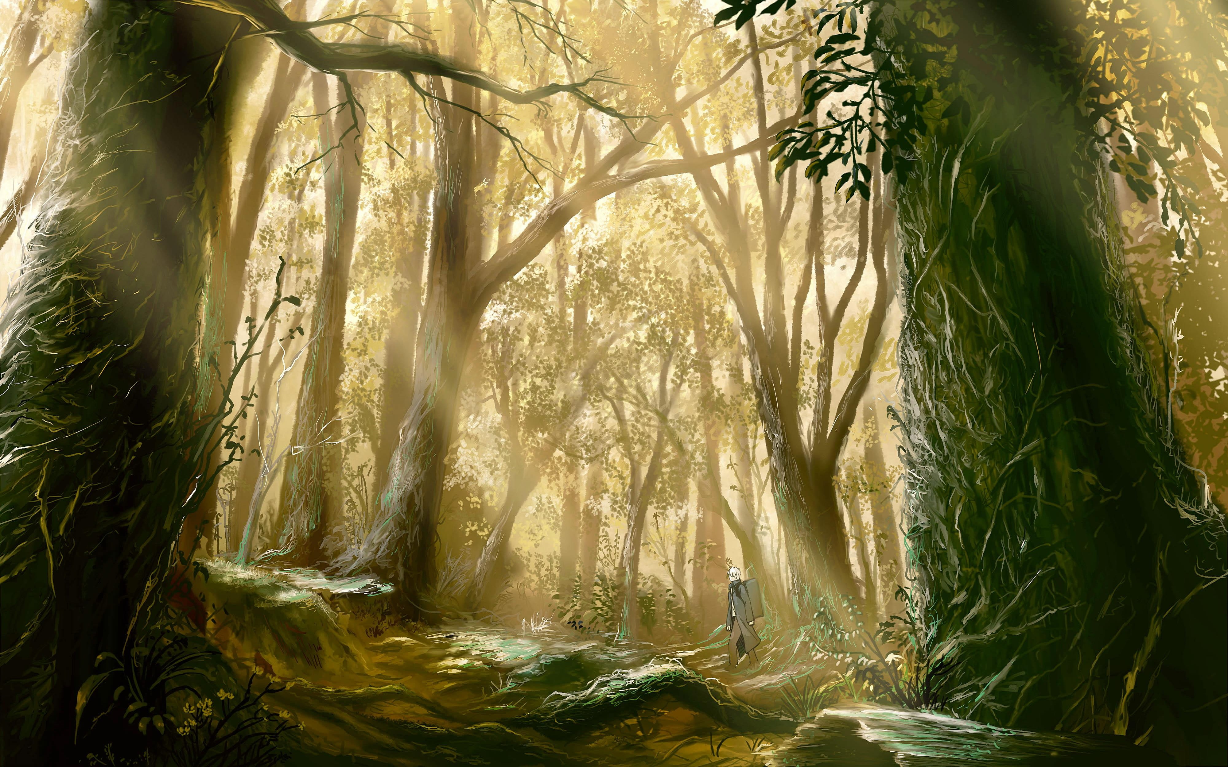 4K, forest, Trees, Mushishi, HD Wallpaper