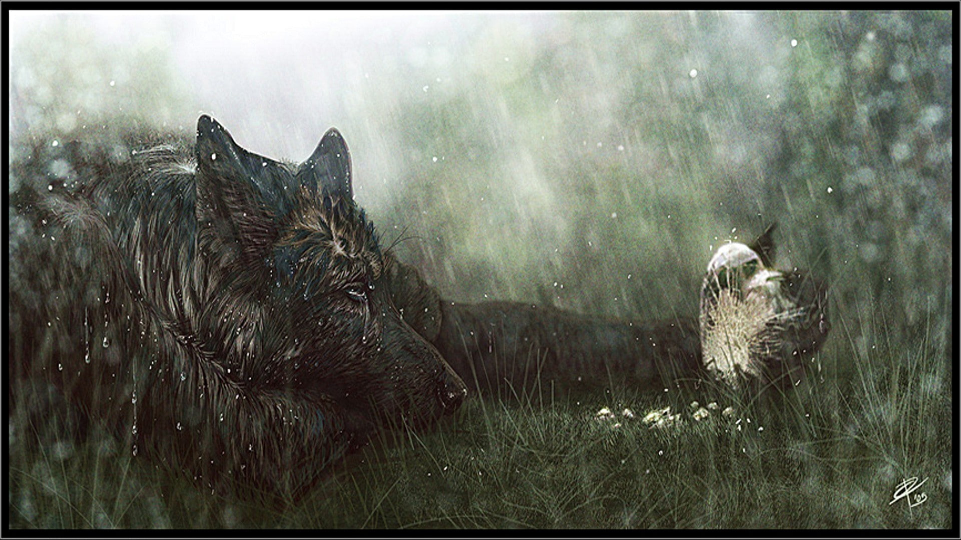 Anthro, furry, tears, 1080P, love, sad, HD Wallpaper