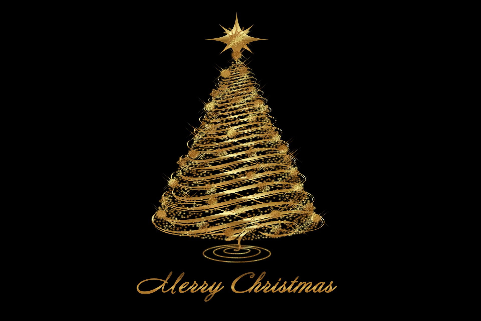 coniferous tree, celebration event, christmas decoration, black background, star shape, night, indoors, plant, holiday - event, Christmas Tree, 1080P, HD Wallpaper