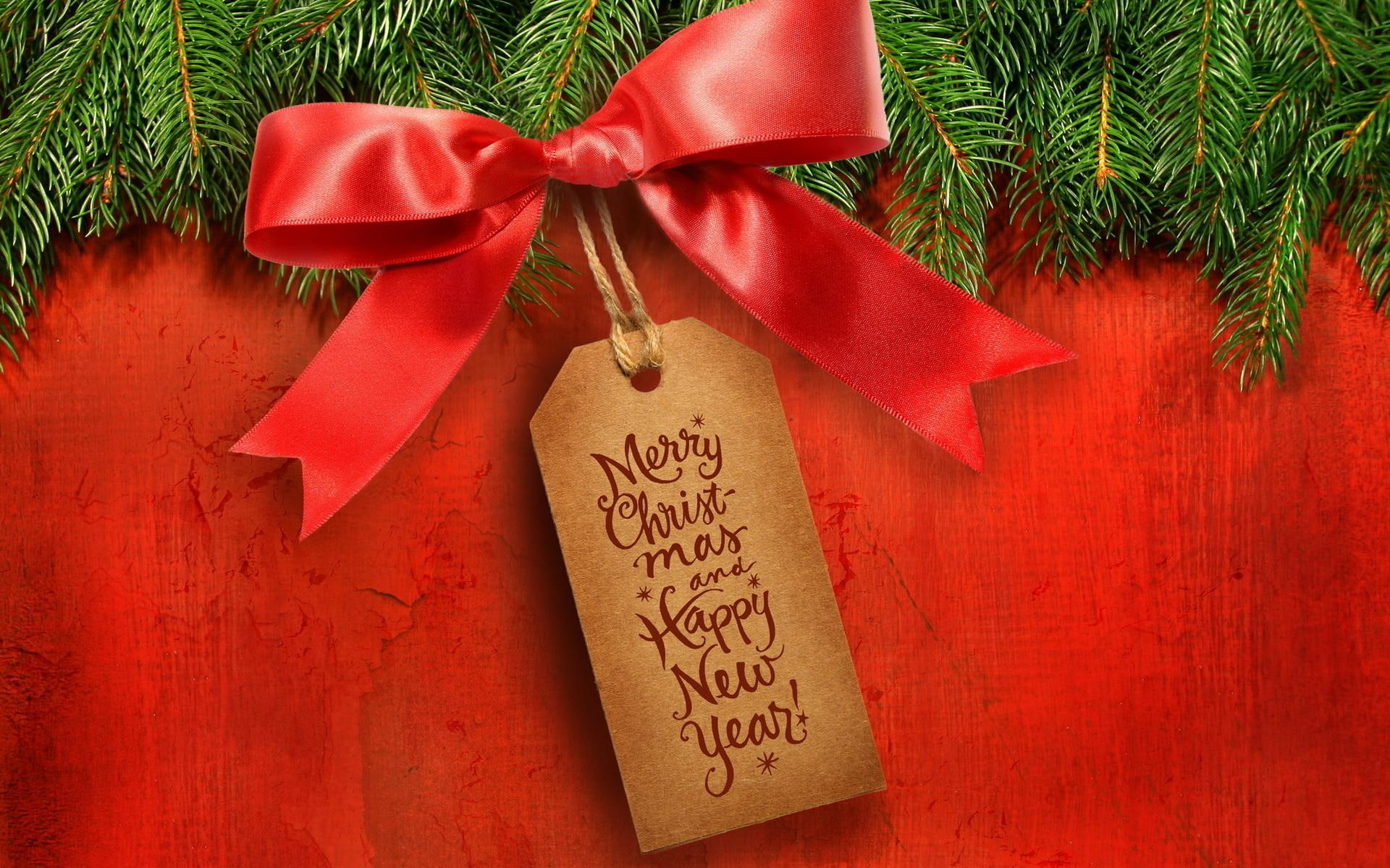 new, congratulation, bow, christmas, year, tree, fur-tree, new year, fur, 1080P, HD Wallpaper