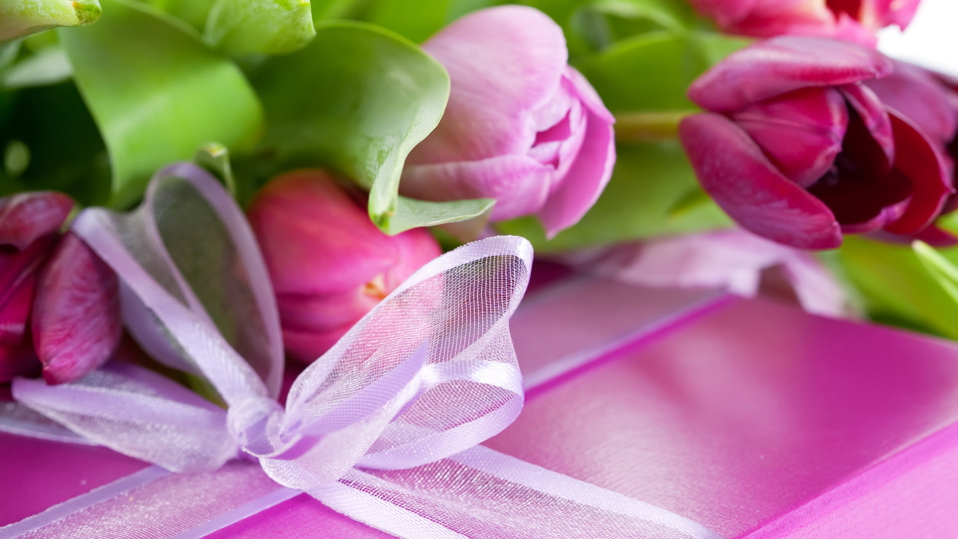 freshness, flower arrangement, packaging, multi Colored, gift, celebration, tape, leaf, summer, 1080P, focus on foreground, congratulations, Tulip, elegance, HD Wallpaper
