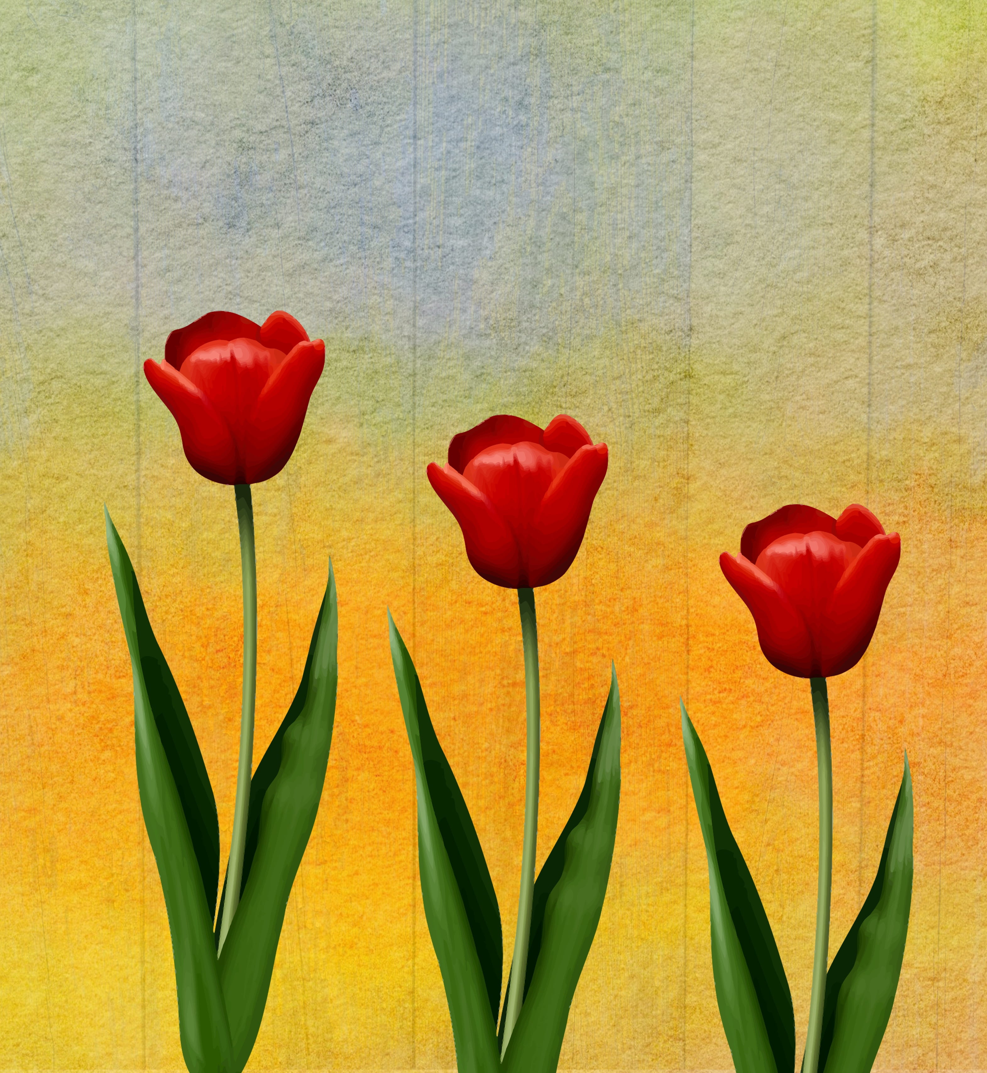 love, growth, coupon, greeting card, give, flowering plant, no people, flower head, beauty in nature, green color, gift, plant, illustration, plant stem, Phone HD Wallpaper