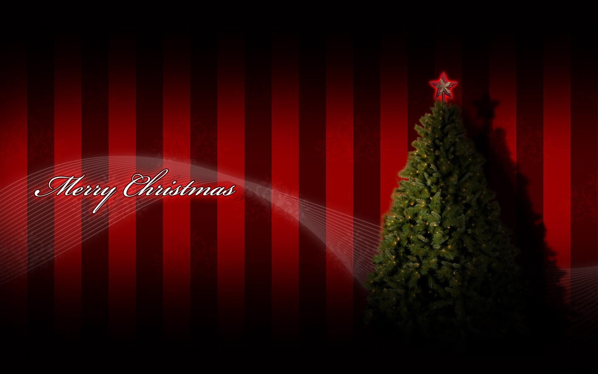 garland, vector, season, inscription, ornate, star, red, no people, snow, night, event, year, nature, stage, bright, text, holiday, snowflake, indoors, HD Wallpaper