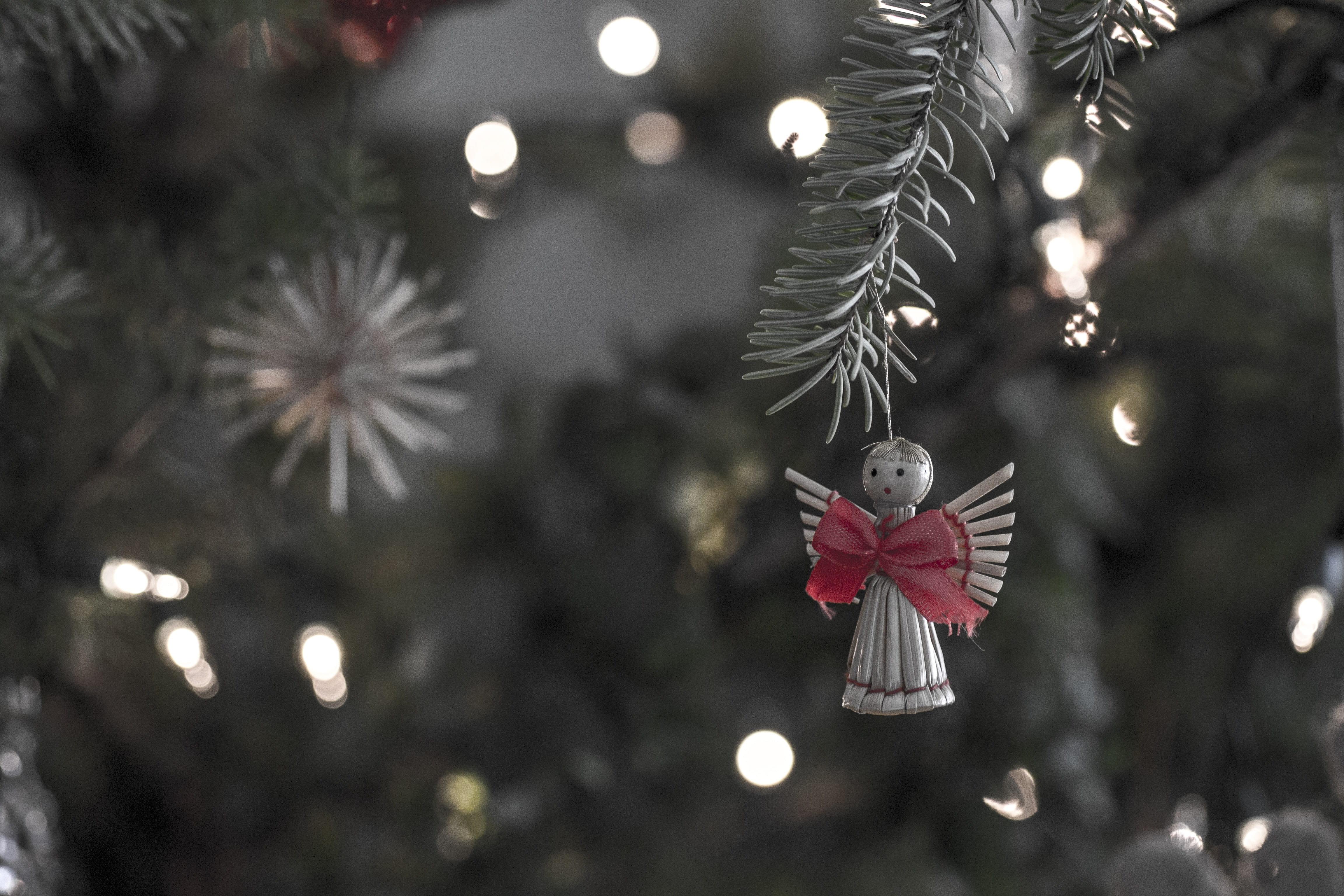 greeting, evergreen, xmas, holiday, merry, decoration, selective focus, nature, fir tree, pine, angel, decorative, night, december, traditional, seasonal, HD Wallpaper