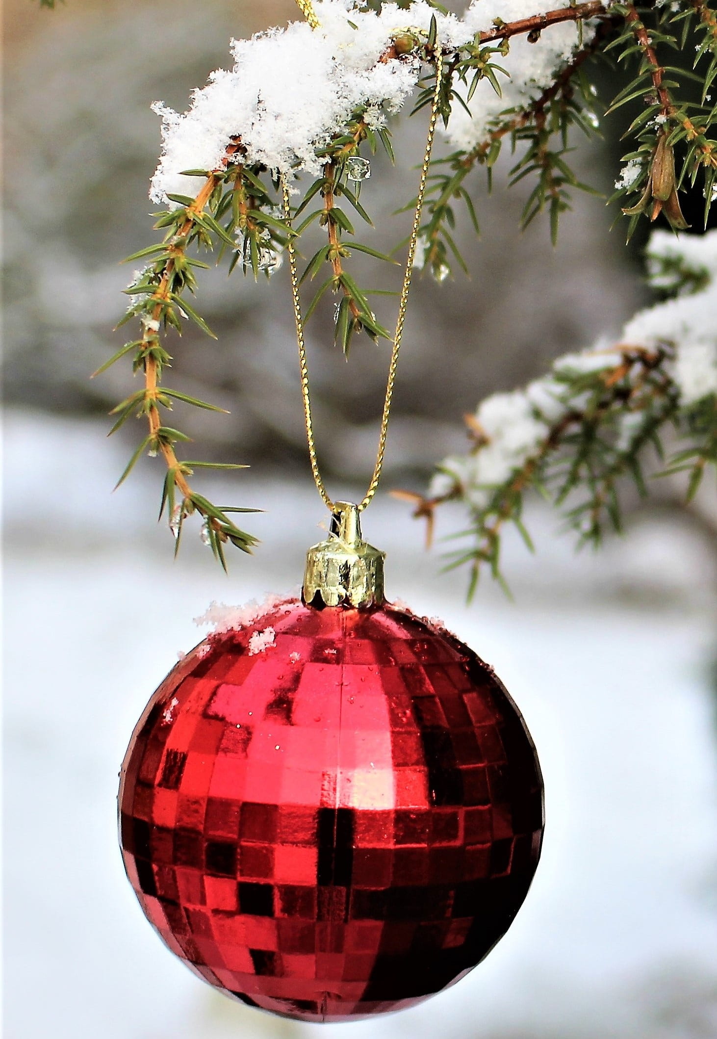 focus on foreground, merry christmas, christmas decorations, december, winter, outdoor, juniper, plant, christmas decoration, holiday - event, shift, christmas, Phone HD Wallpaper