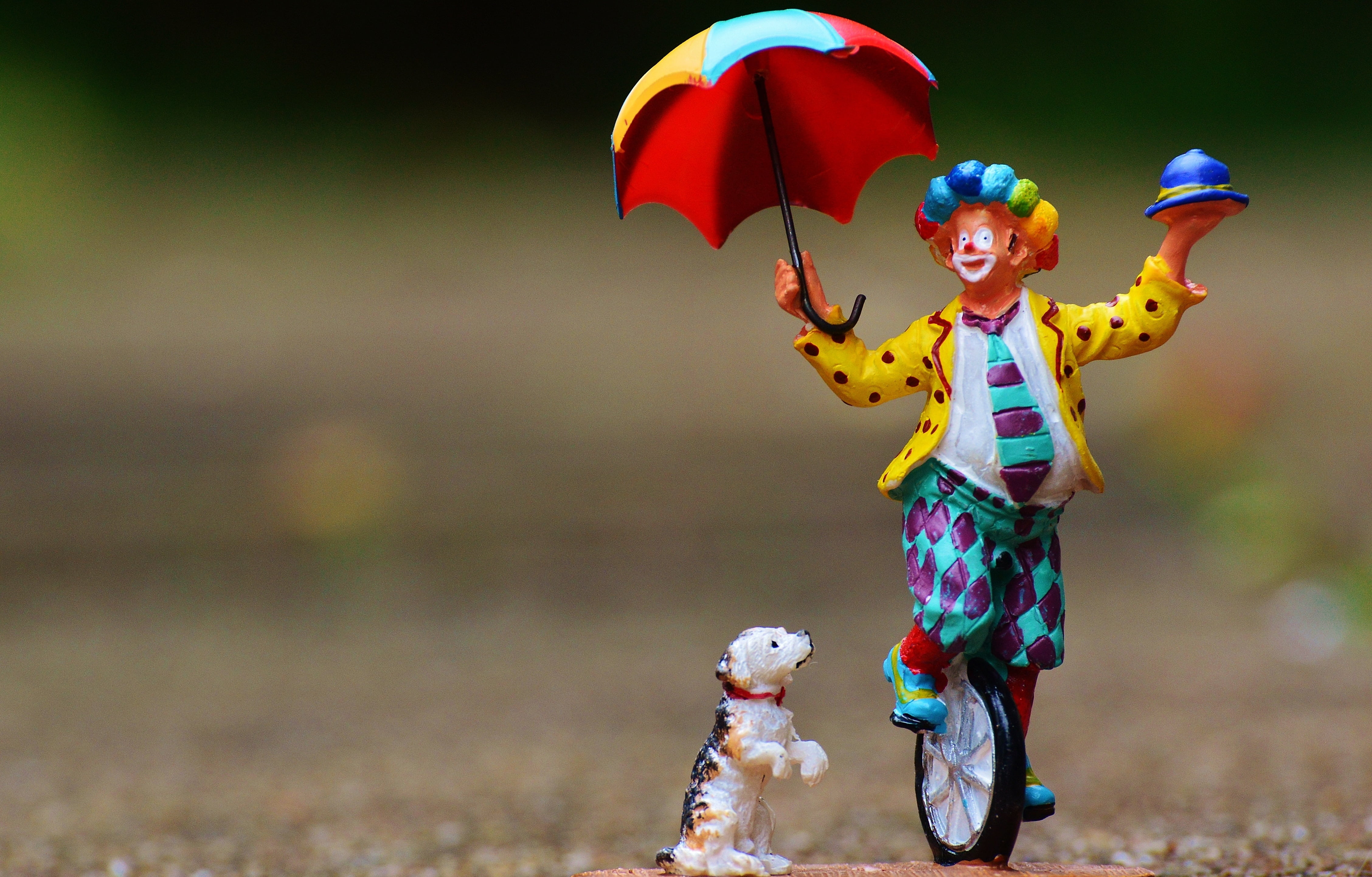 figurines, emotion, clown, cute, focus on foreground, funny, 4K, joker, figure, outdoors, nature, one person, multi colored, focus, colorful, cheerful, HD Wallpaper