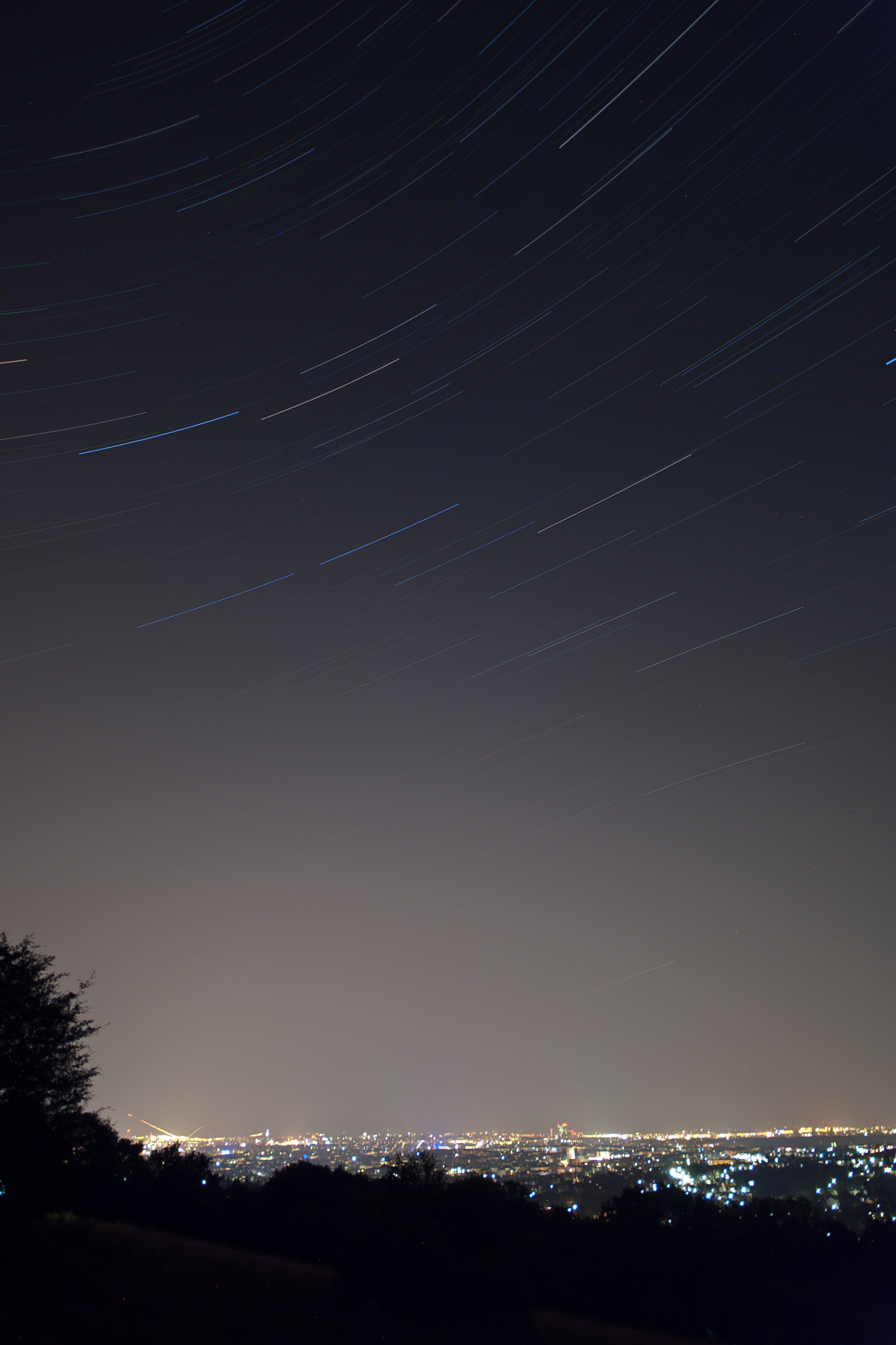 light pollution, city, earths rotation, black, evening sky, star trail, light bell, tree, dark, scenics - nature, abendstimmung, lighting, night photograph, Phone HD Wallpaper