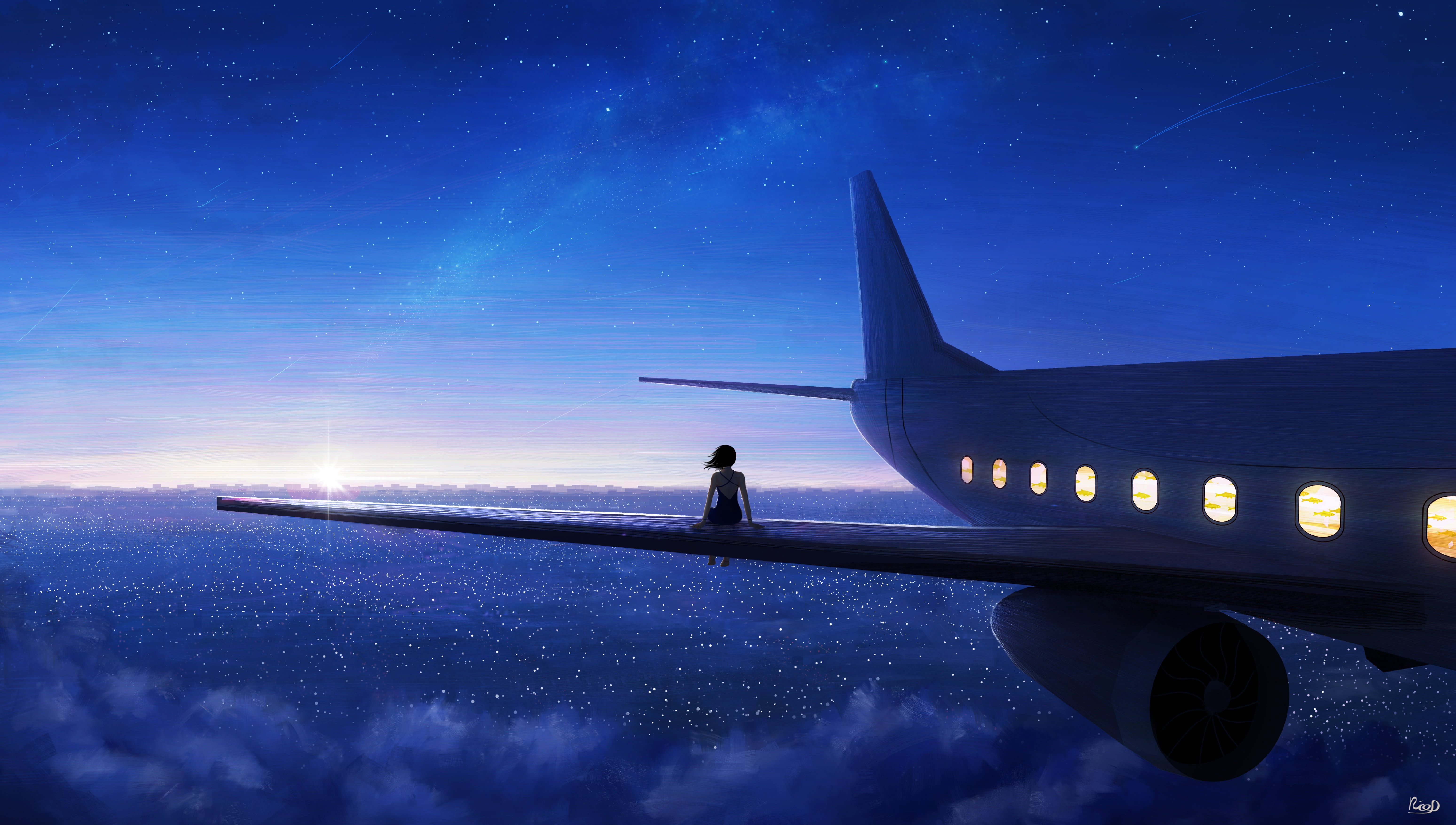Anime, Starry Sky, Sky, Original, Aircraft, 5K, Shooting Star, Girl, HD Wallpaper