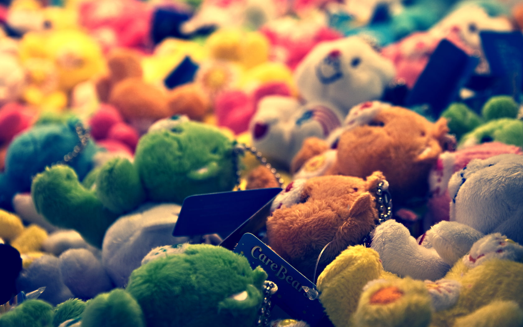 toys, hd, 720P, care, plush, bear, photography, assorted, bears, HD Wallpaper
