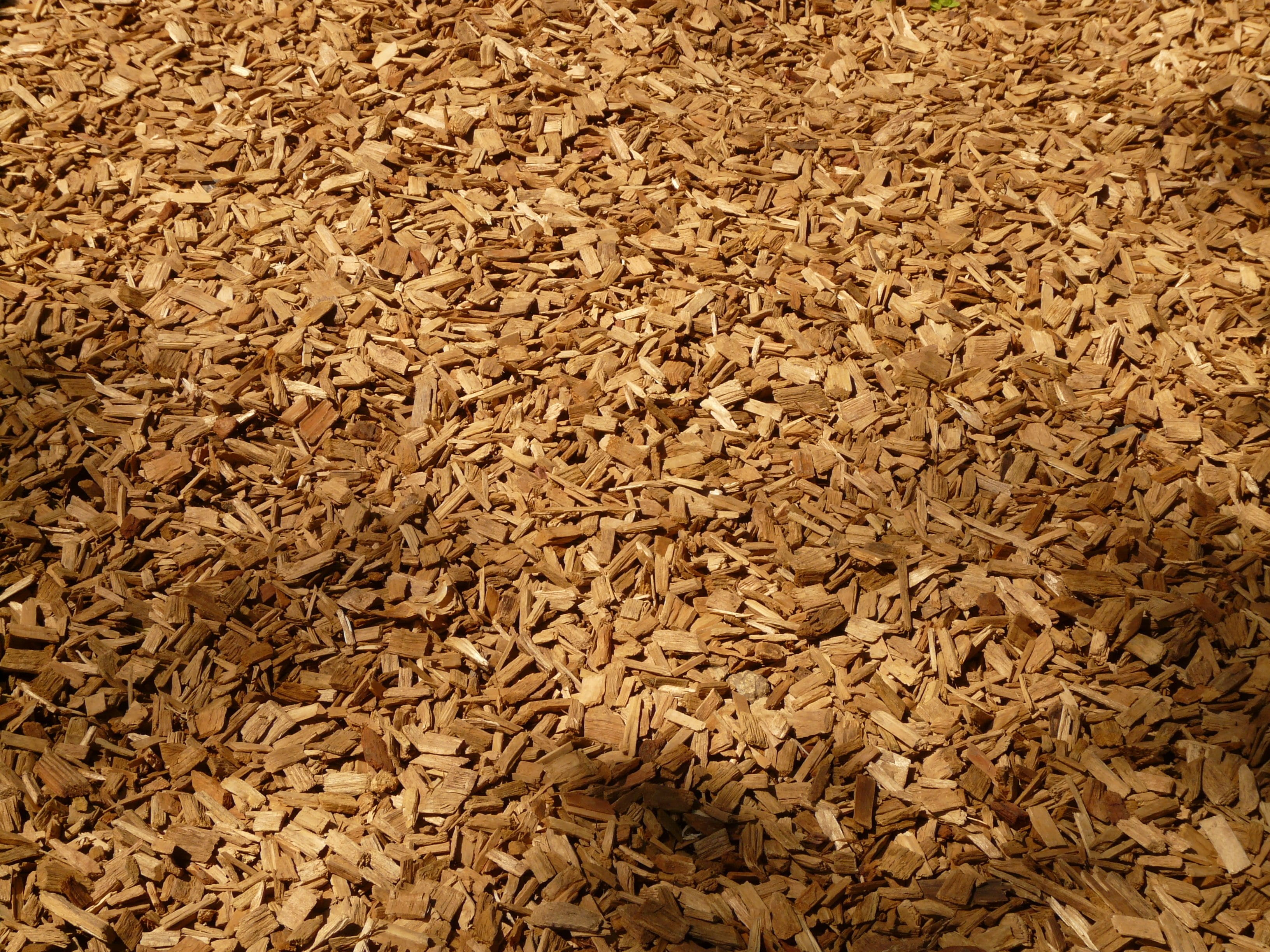 agriculture, close-up, nature, pattern, 2K, seed, textured, ground, cereal plant, high angle view, food and drink, oats - food, brown, shavings, backgrounds, HD Wallpaper