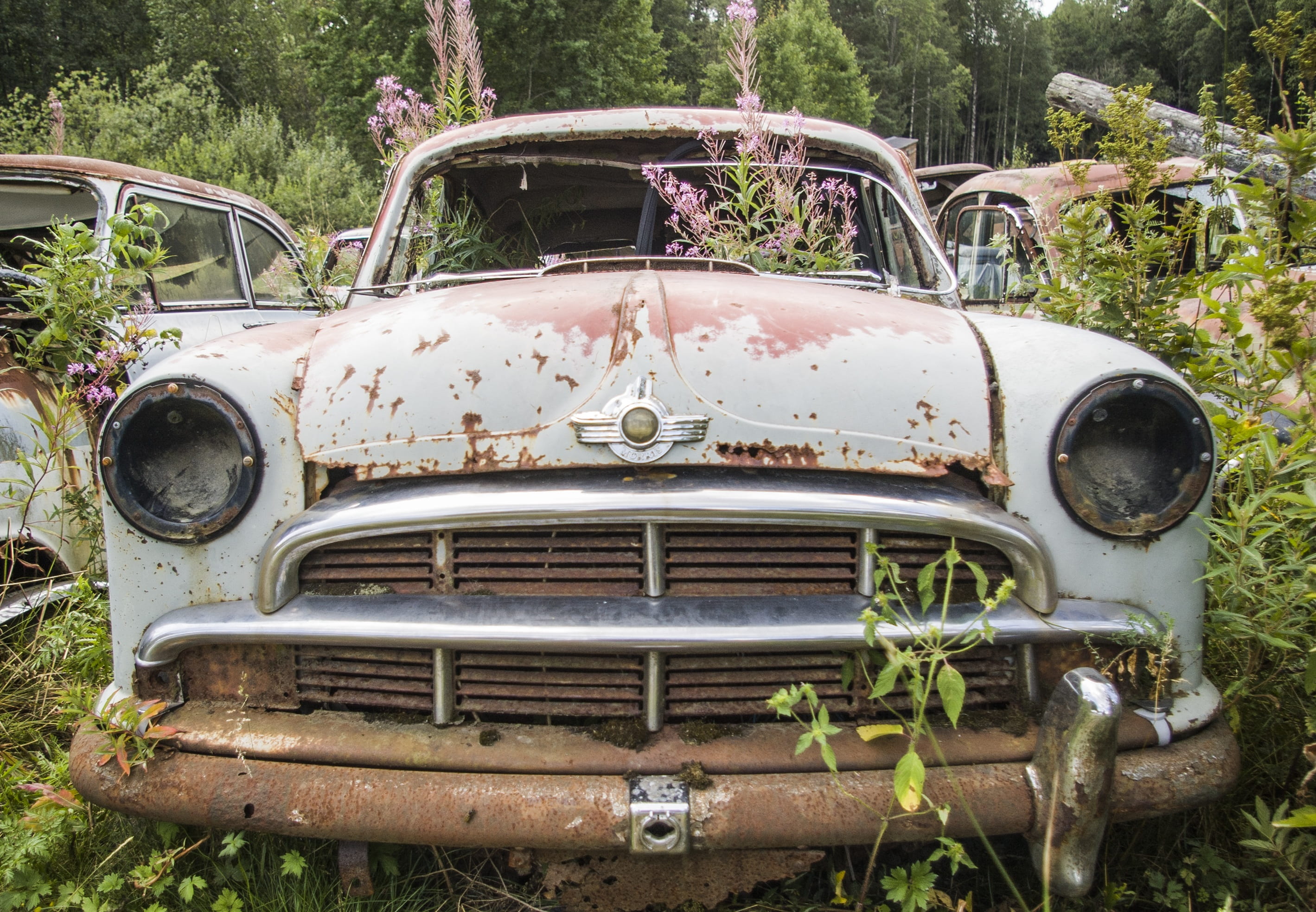vehicle, automotive shredder residue, surrounded, moss, forest, morris, decline, metal, mode of transportation, green, land vehicle, nature, damaged, scrap, HD Wallpaper