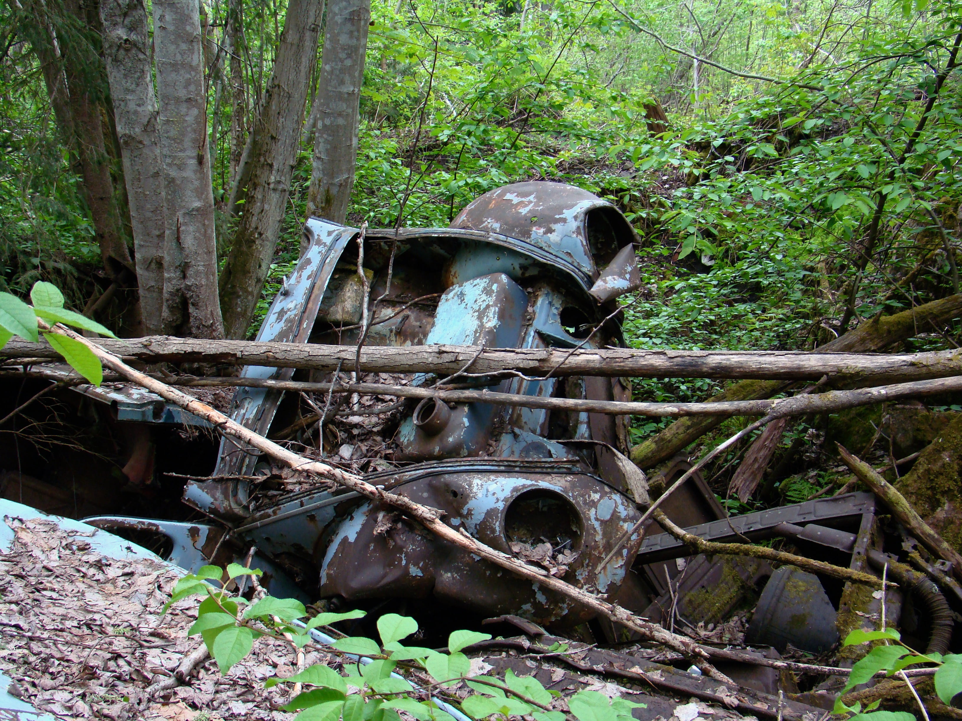 automotive shredder residue, field, run-down, green color, no people, deterioration, decline, mode of transportation, transportation, plant, 2K, obsolete, HD Wallpaper