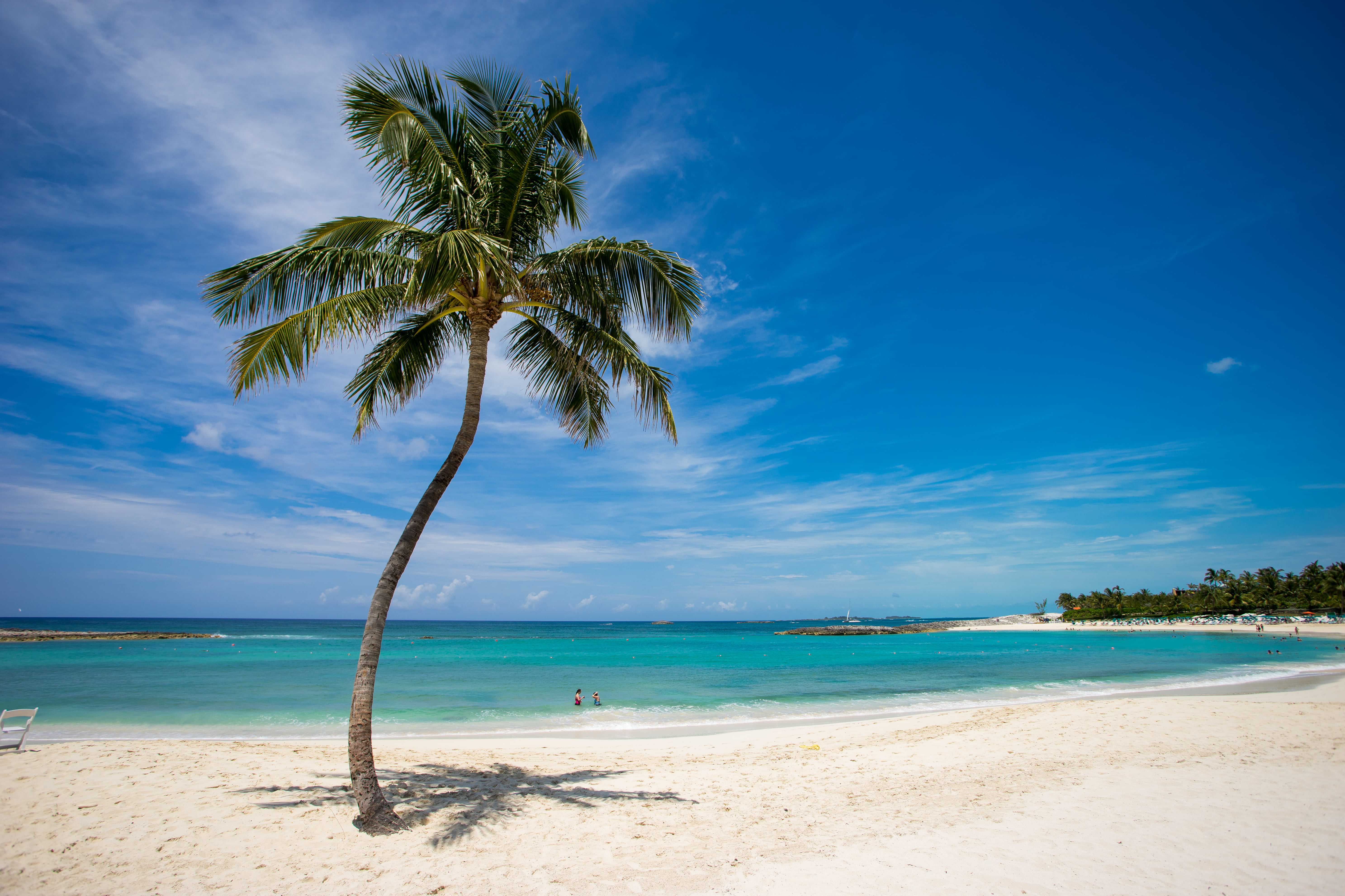 horizon over water, horizon, idyllic, sea, sand, tropical tree, plant, palm, Beach, coconut palm tree, tranquil scene, no people, tranquility, sky, tree, HD Wallpaper