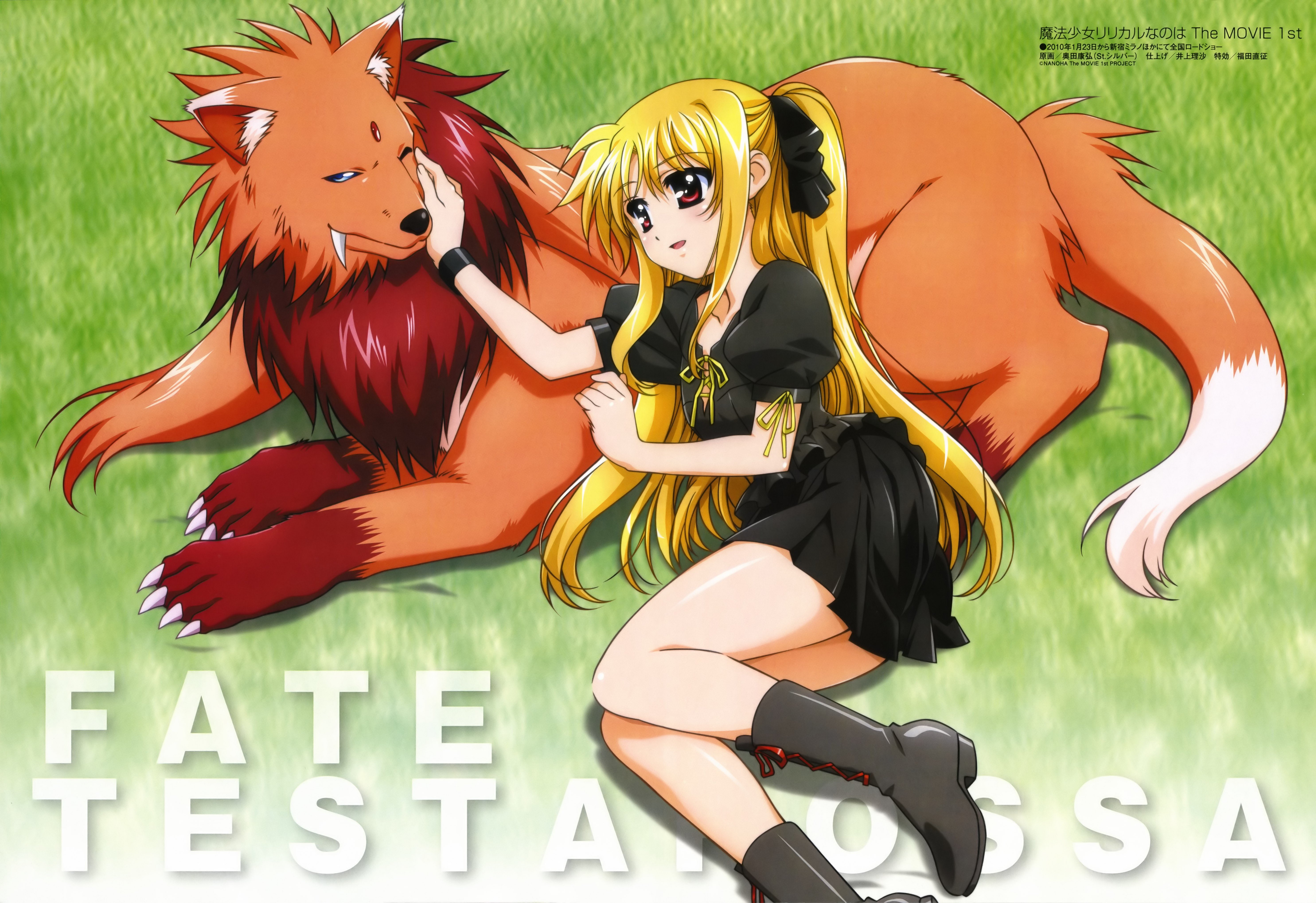 mahou, shoujo, fate, nanoha, 5K, lyrical, testarossa, HD Wallpaper