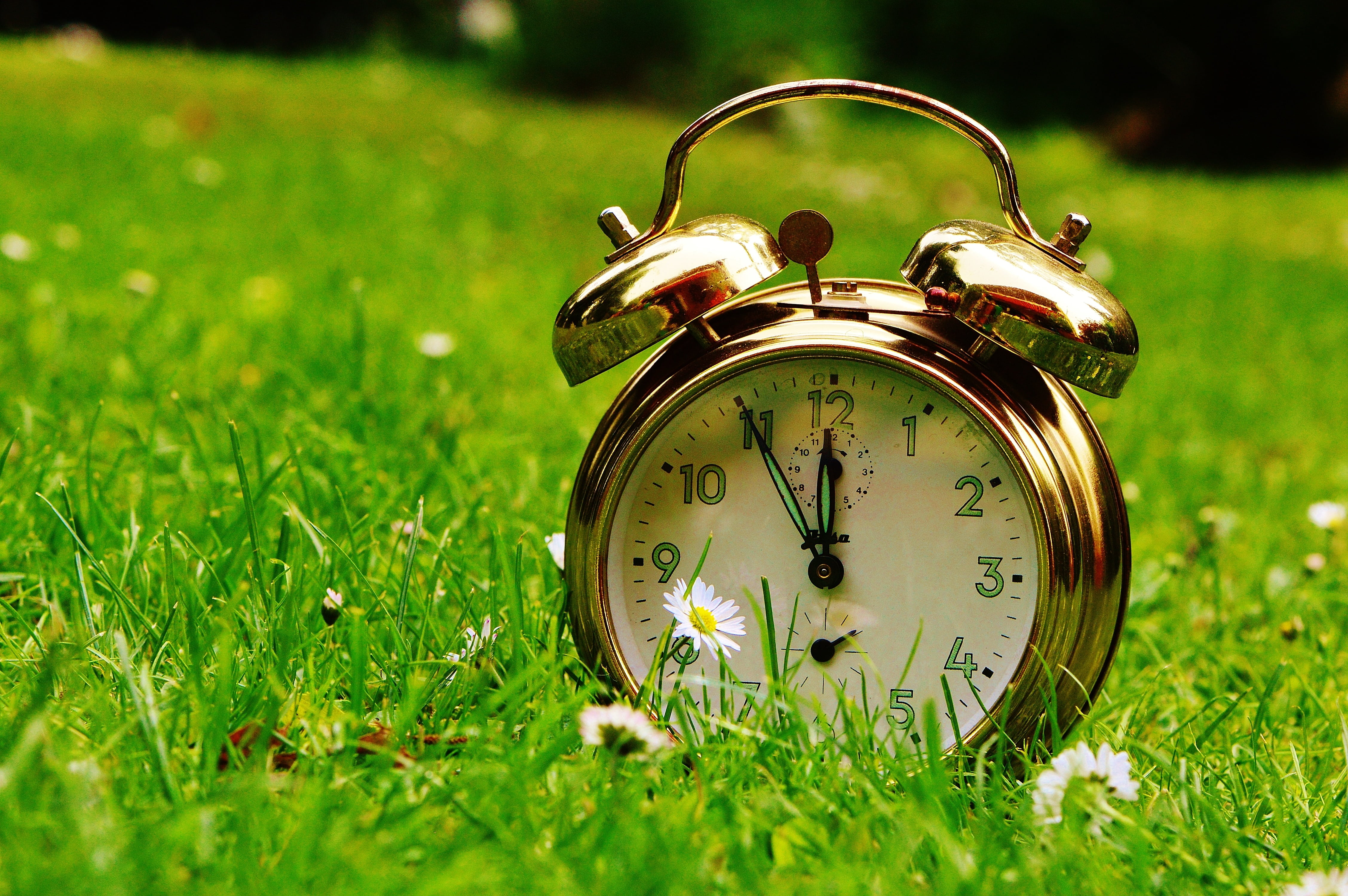 minute hand, old-fashioned, nature, instrument of time, hours, pointer, ring the bell, antique, flowers, grass, selective focus, clock face, ring, green Color, HD Wallpaper
