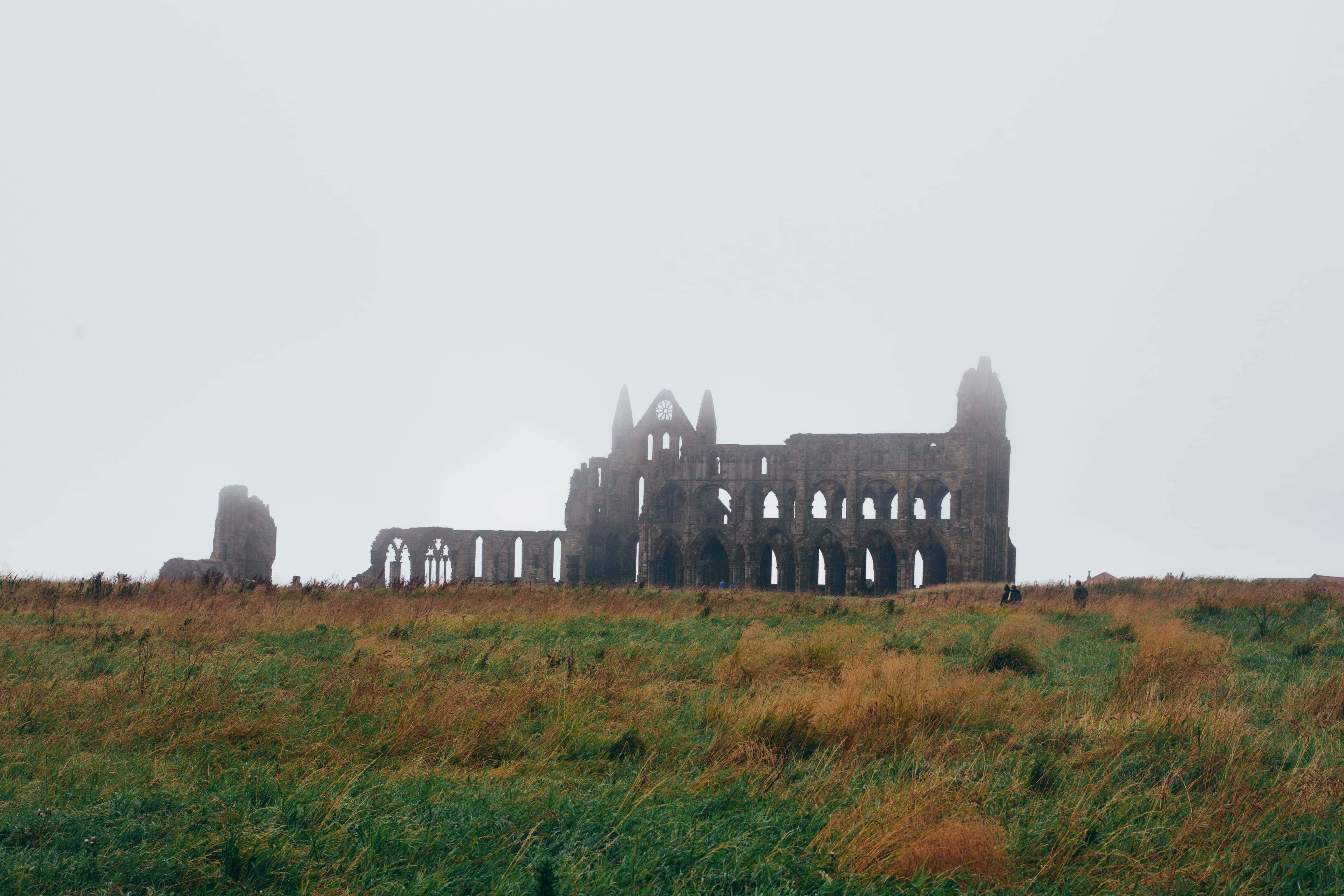 clear sky, whitby, 4K, building, grass, weather, travel destinations, nature, ancient civilization, ancient, archaeology, sky, united kingdom, architecture, HD Wallpaper
