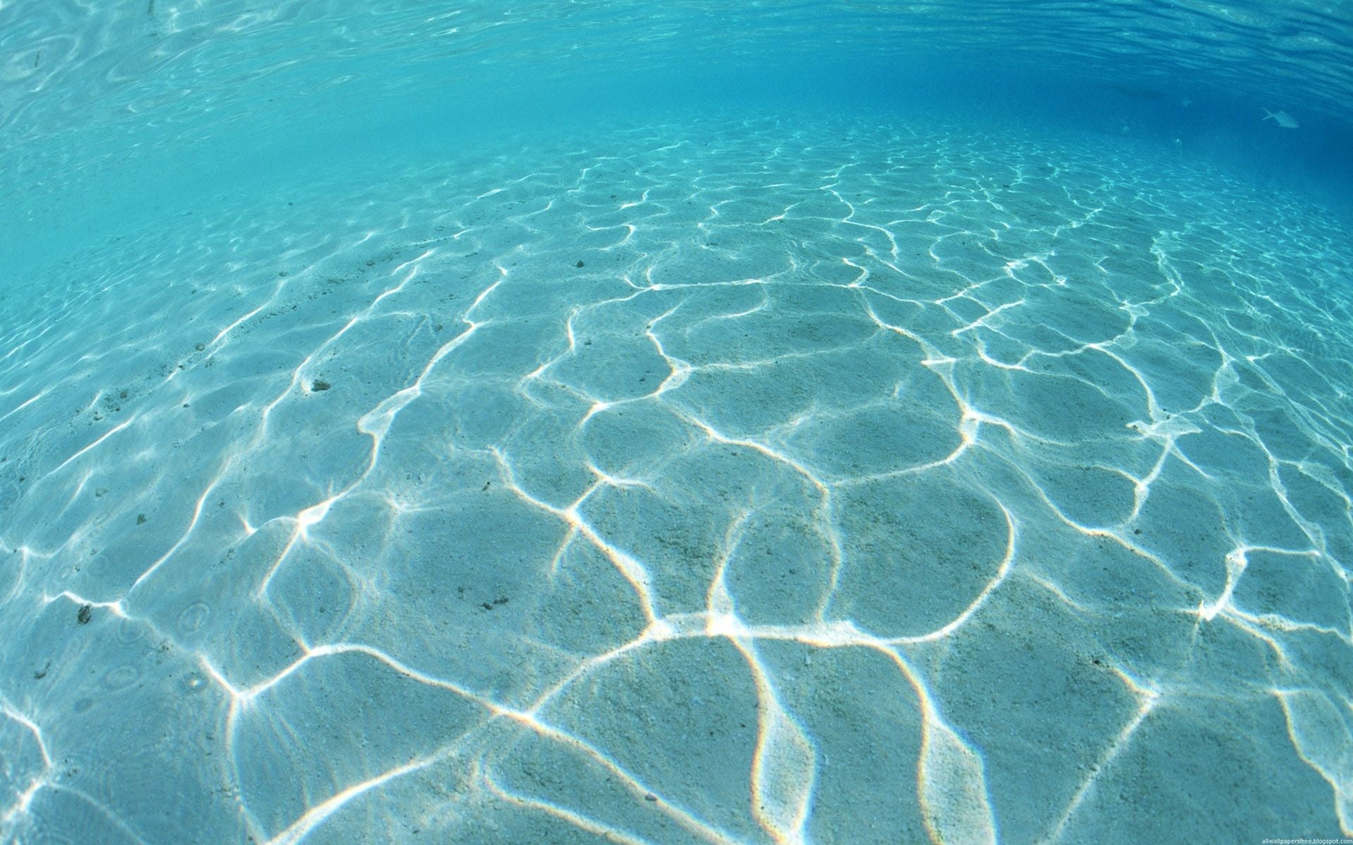 sunlight, abstract, wave, vacations, beauty In Nature, reflection, wet, purity, ripple, blue, bottom, turquoise Colored, high angle view, day, sand, beach, HD Wallpaper