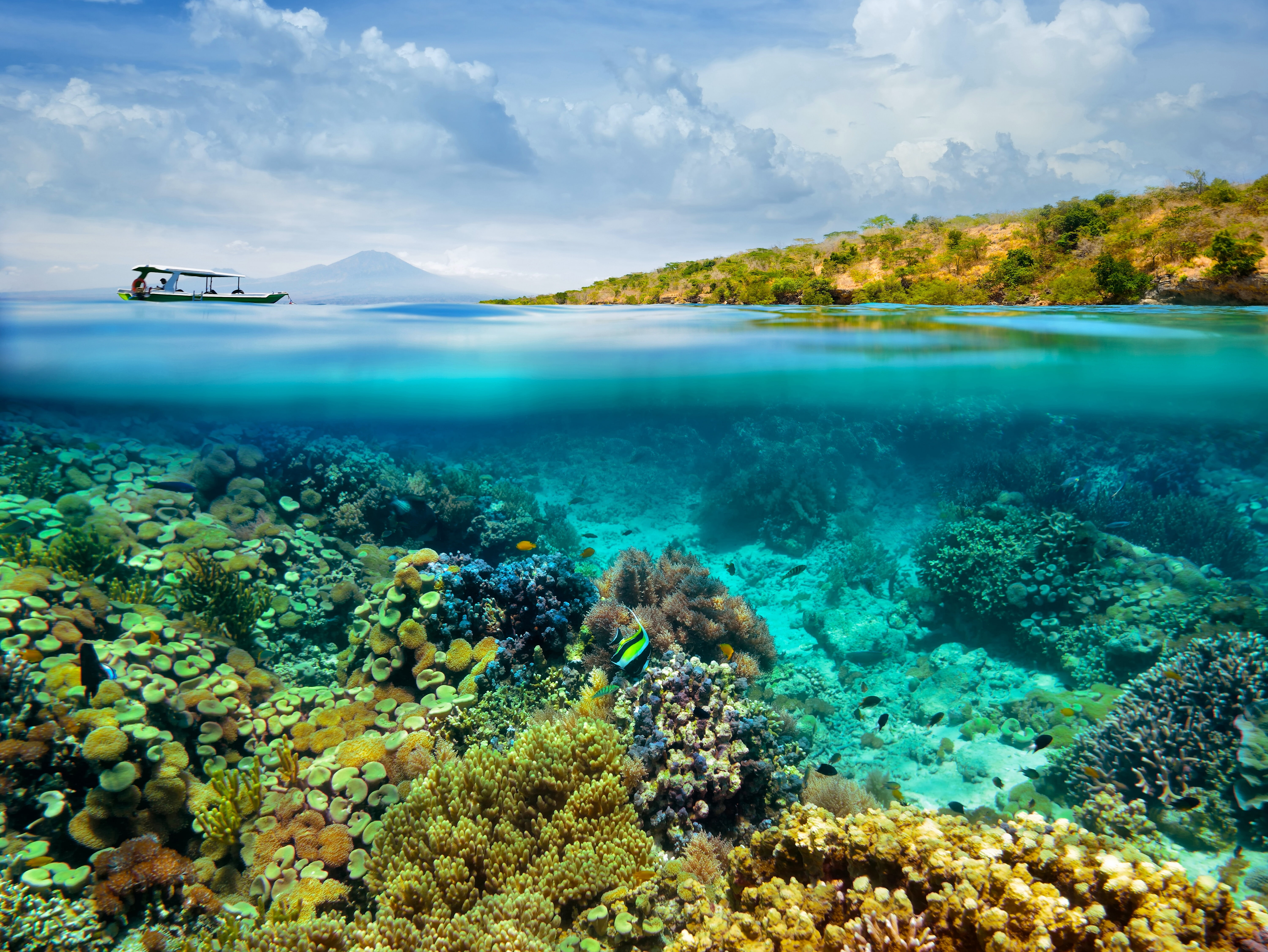 scenics - nature, undersea, no people, vacations, turquoise colored, water, seascape, sea, boat, 5K, blue, body, snorkeling, the bottom of the sea, corals, HD Wallpaper