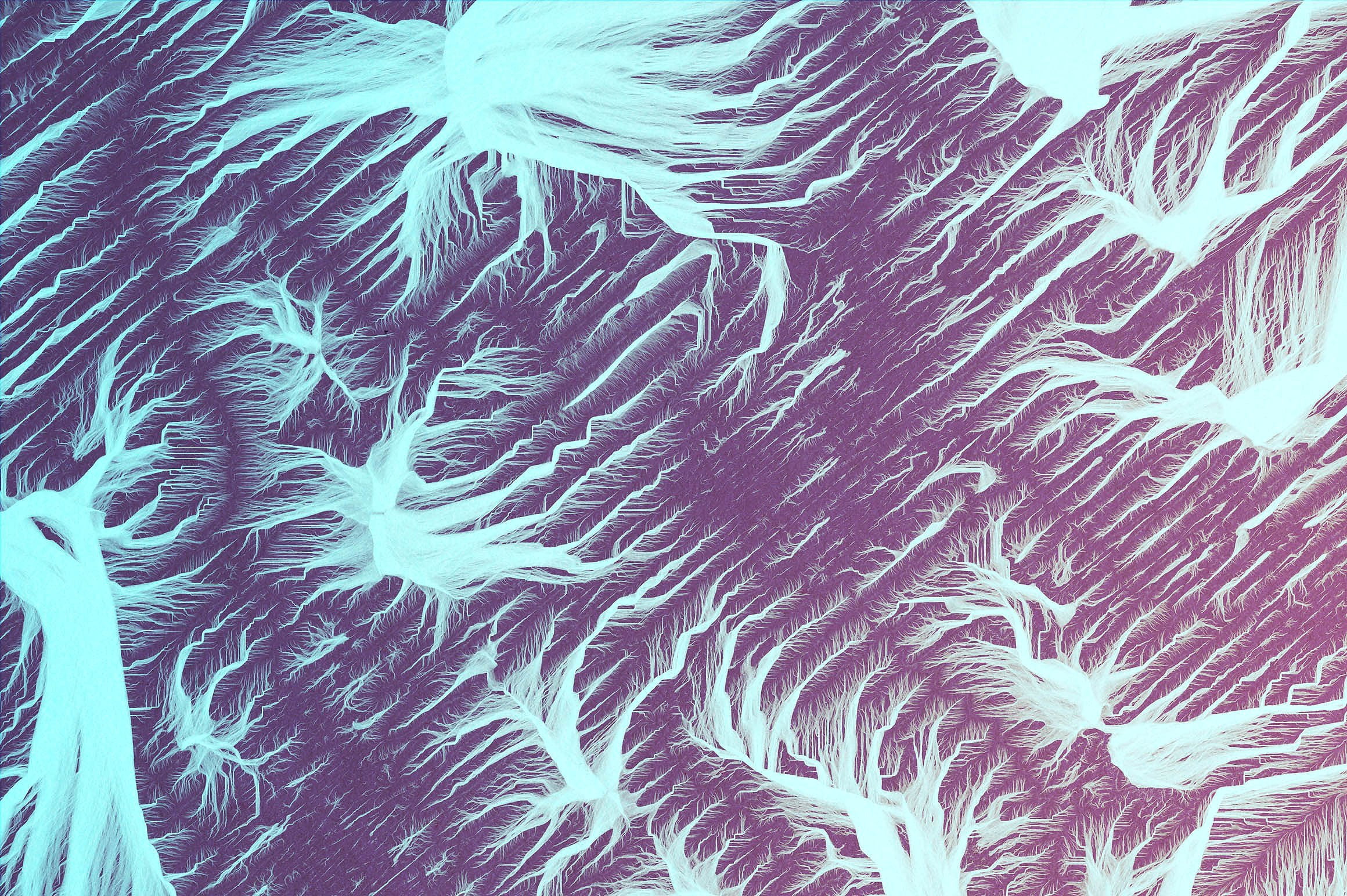 gradient, underwater, pattern, animal themes, simple, sea life, animal wildlife, abstract, close-up, growth, marine, no people, ecosystem, sea, digital art, HD Wallpaper