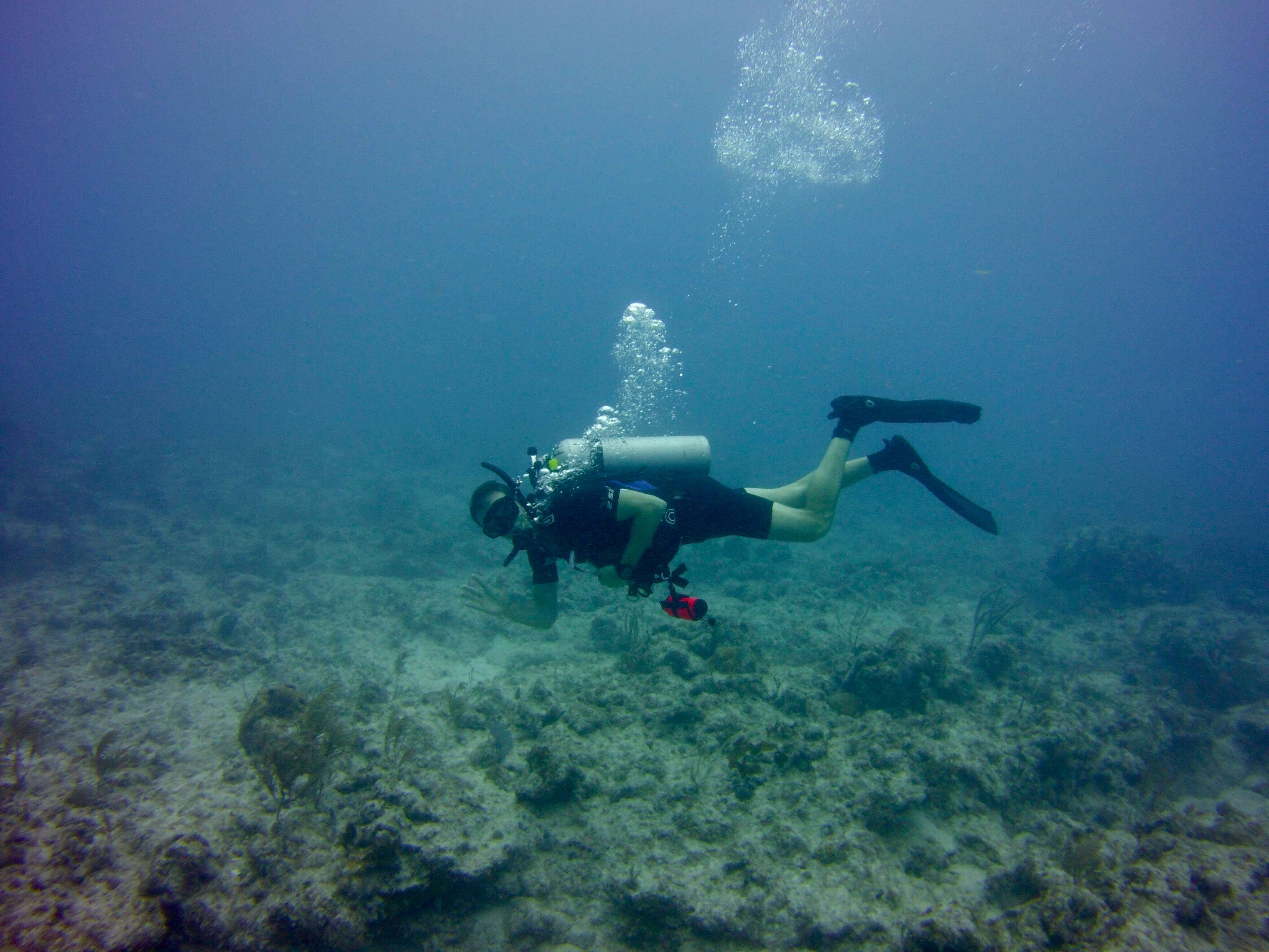 aquatic sport, marine, undersea, bubble, underwater diving, unrecognizable person, coral, sport, scuba diving, sea, islamorada, leisure activity, adventure, HD Wallpaper