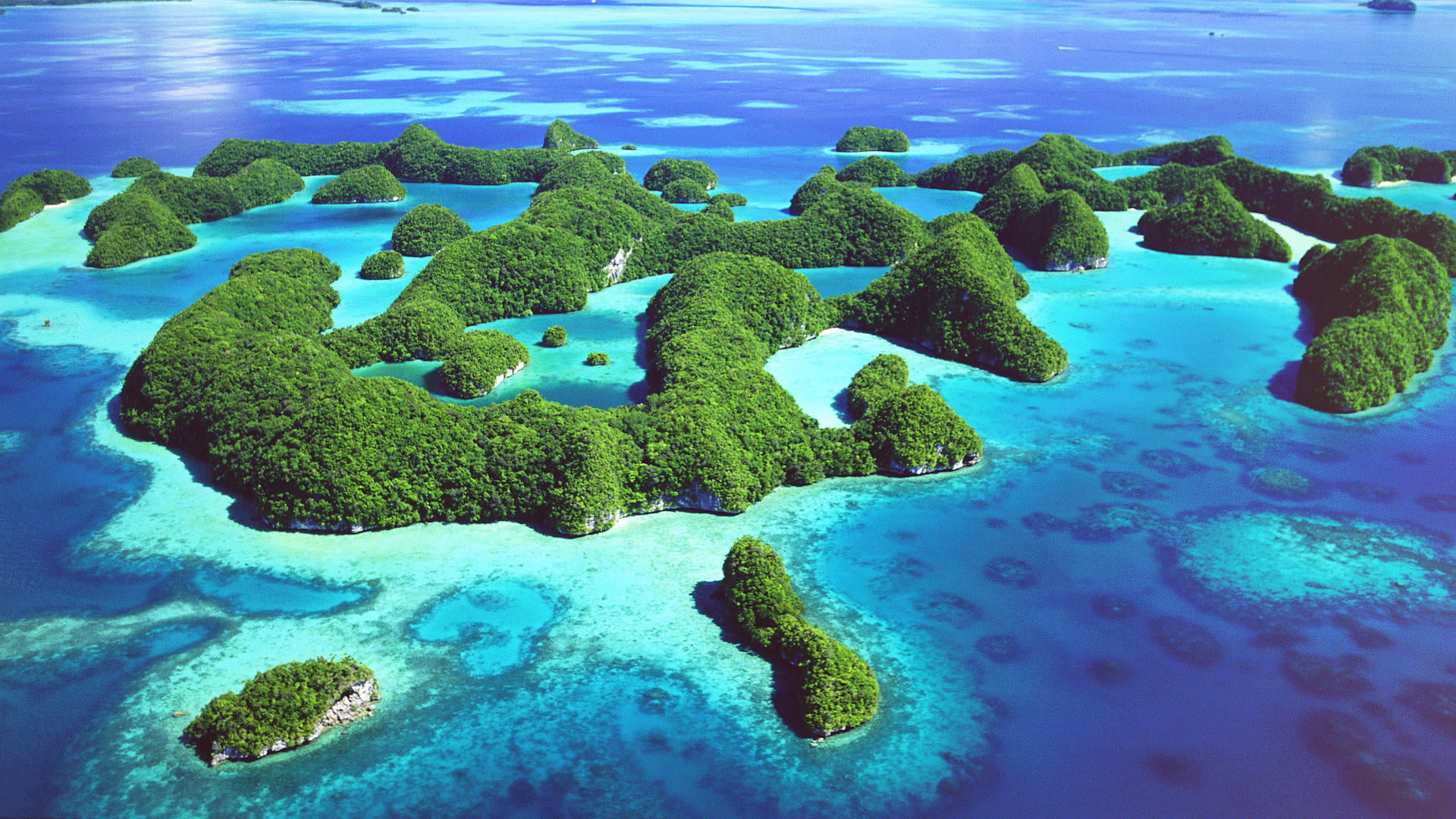 deep, coral reef, scuba, undersea, day, diving, depth, nature, colony, animal themes, animal, solid, saltwater, blue, sunbeam, outdoors, underwater, water, HD Wallpaper
