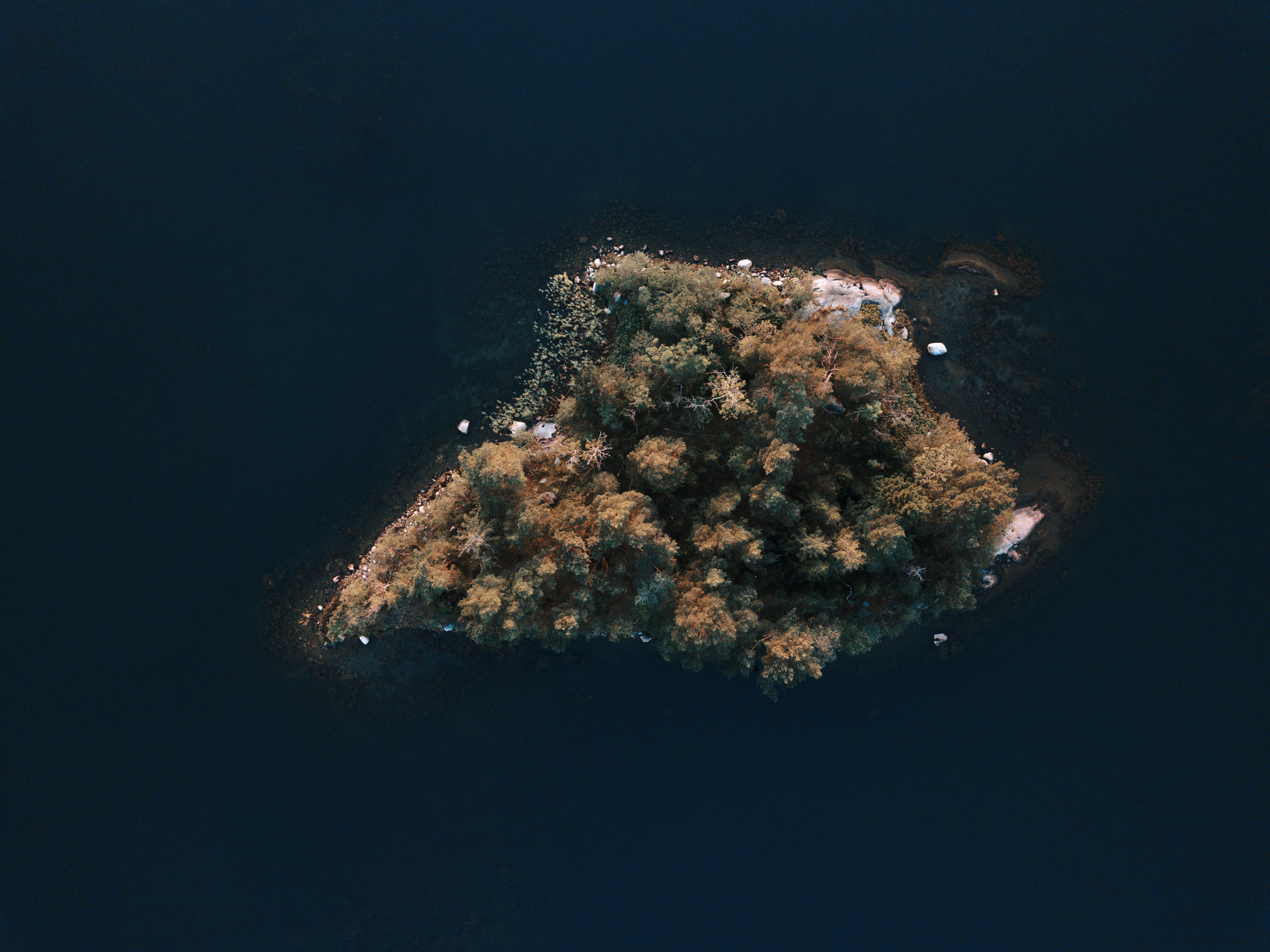 eye, sea life, birds, no people, one animal, nature, animals in the wild, bubble, island, water, fish, sea, tree, photography, underwater, invertebrate, HD Wallpaper