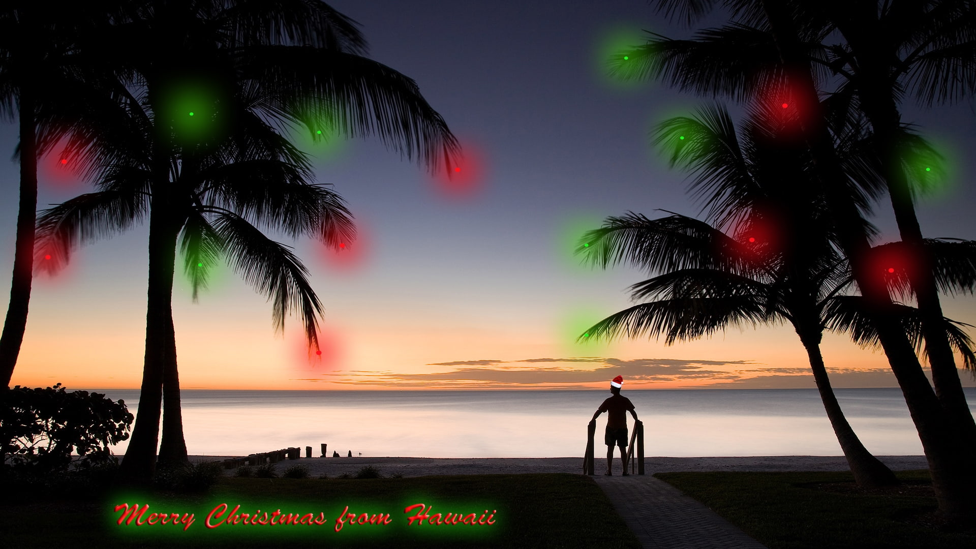 santa, palms, christmas, hawaii, hd, 1080P, nature, dark, lights, holidays, island, HD Wallpaper