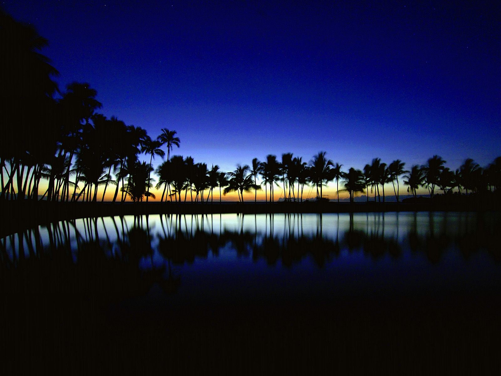 hd, travel and world, island, travel, 720P, world, silhouette, hawaii, palm, big, HD Wallpaper
